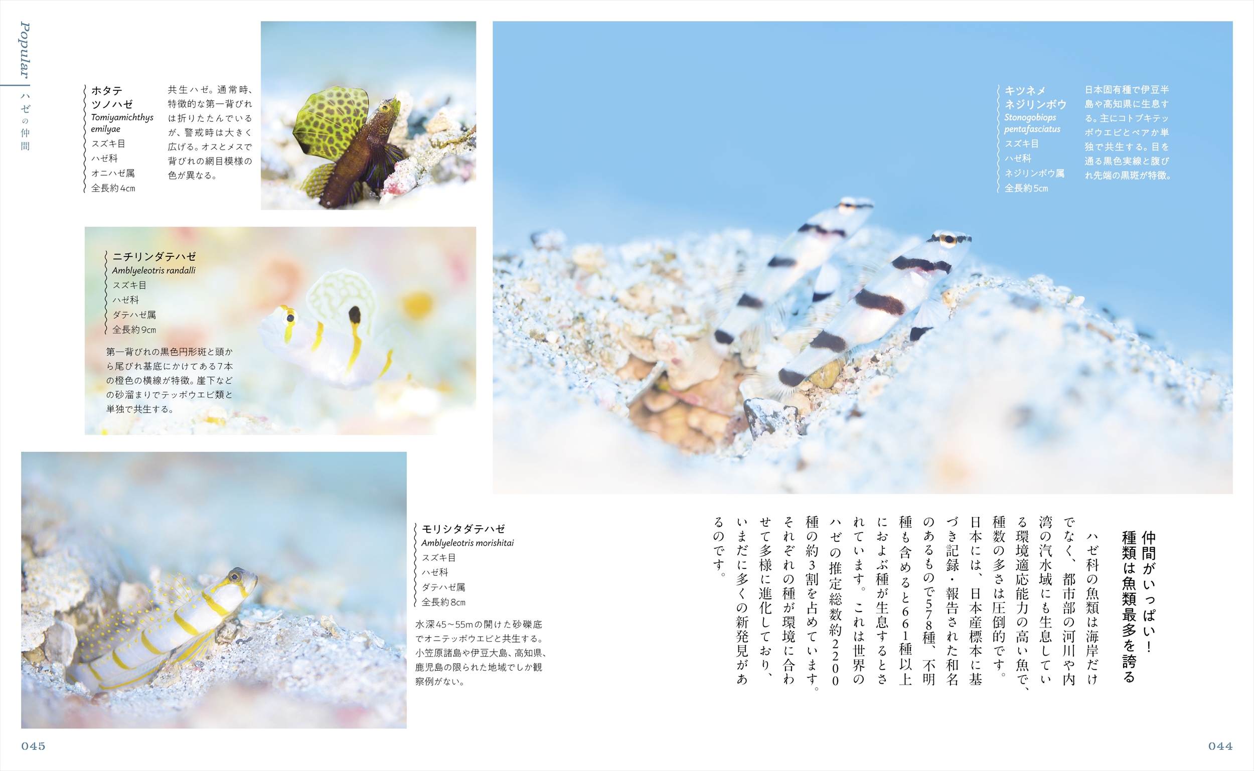 サムネイル画像4
