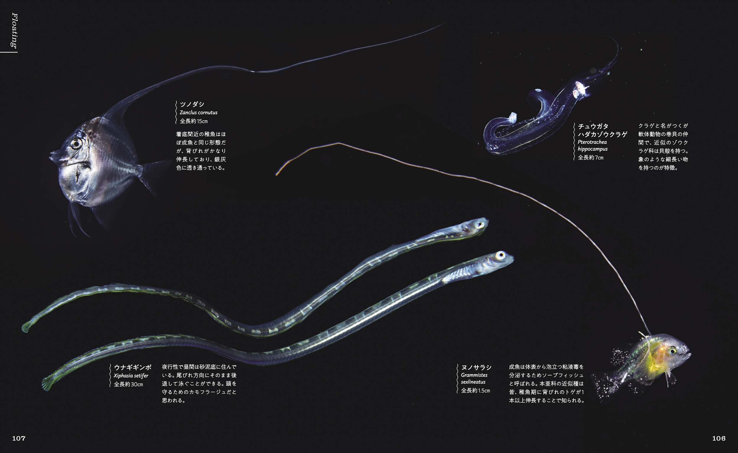 サムネイル画像6