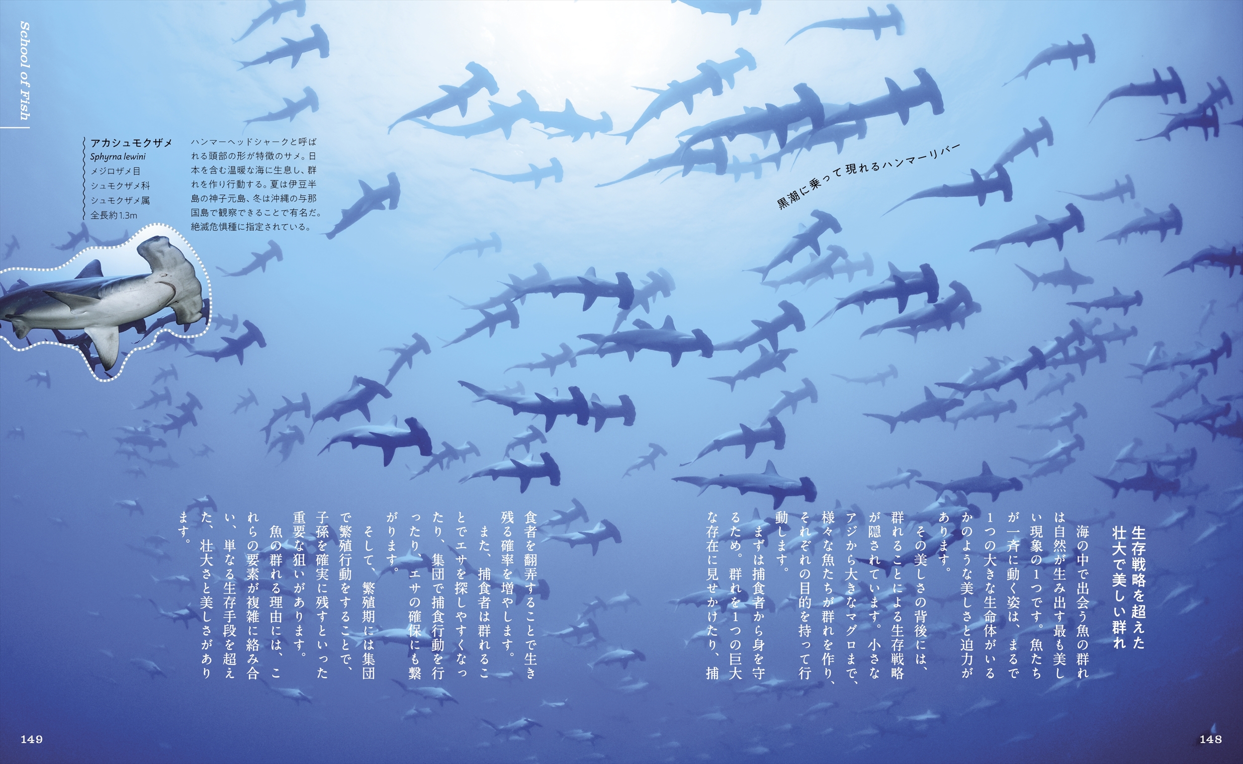 サムネイル画像7