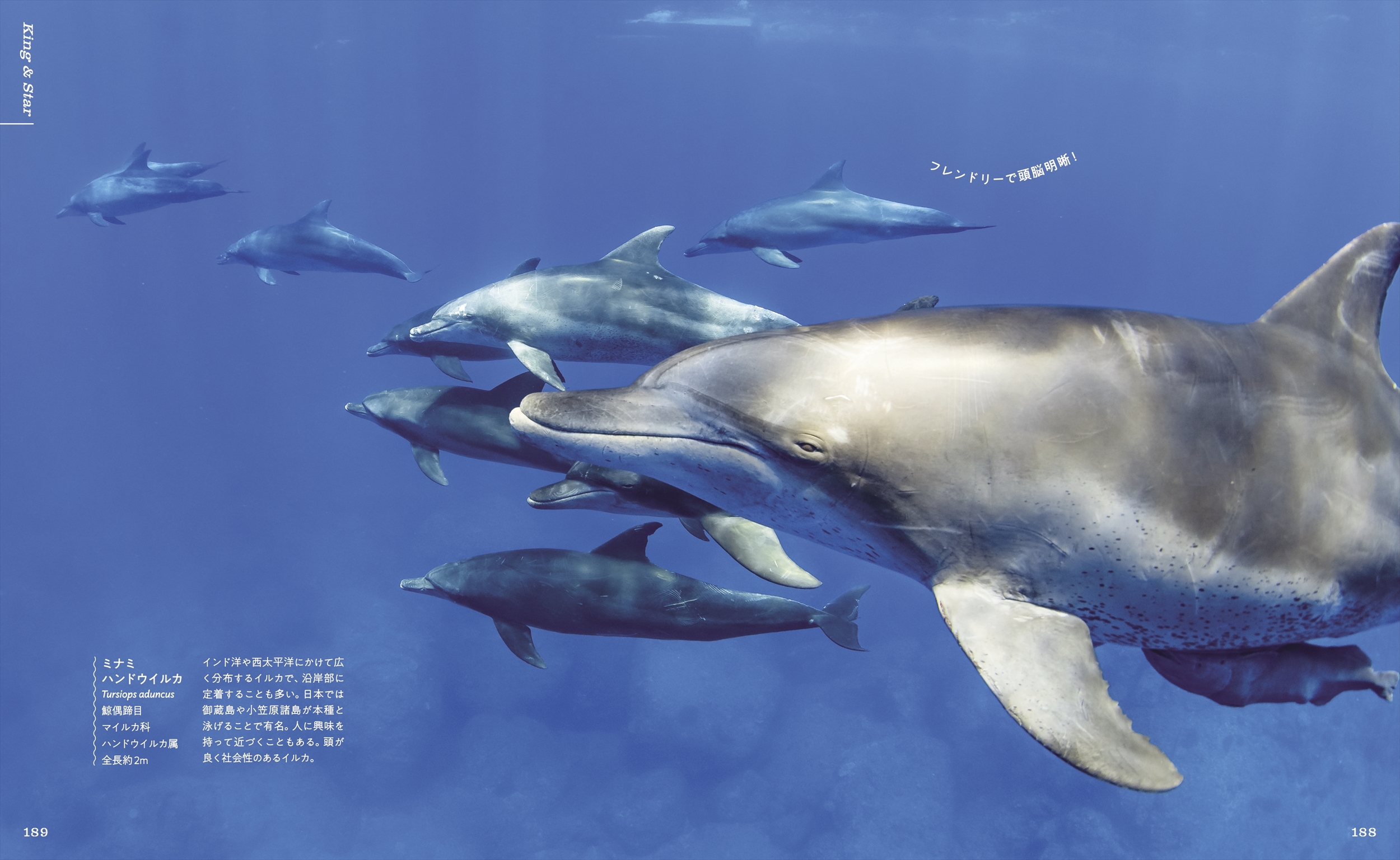 サムネイル画像8