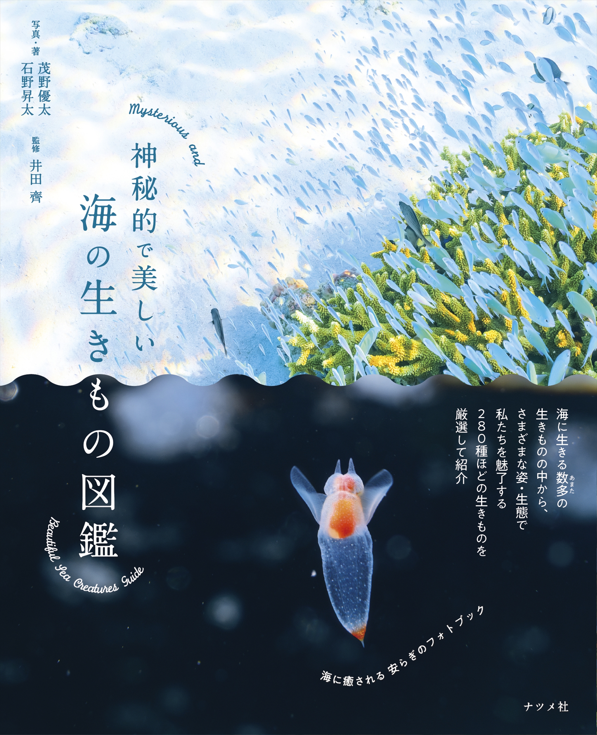 メイン画像