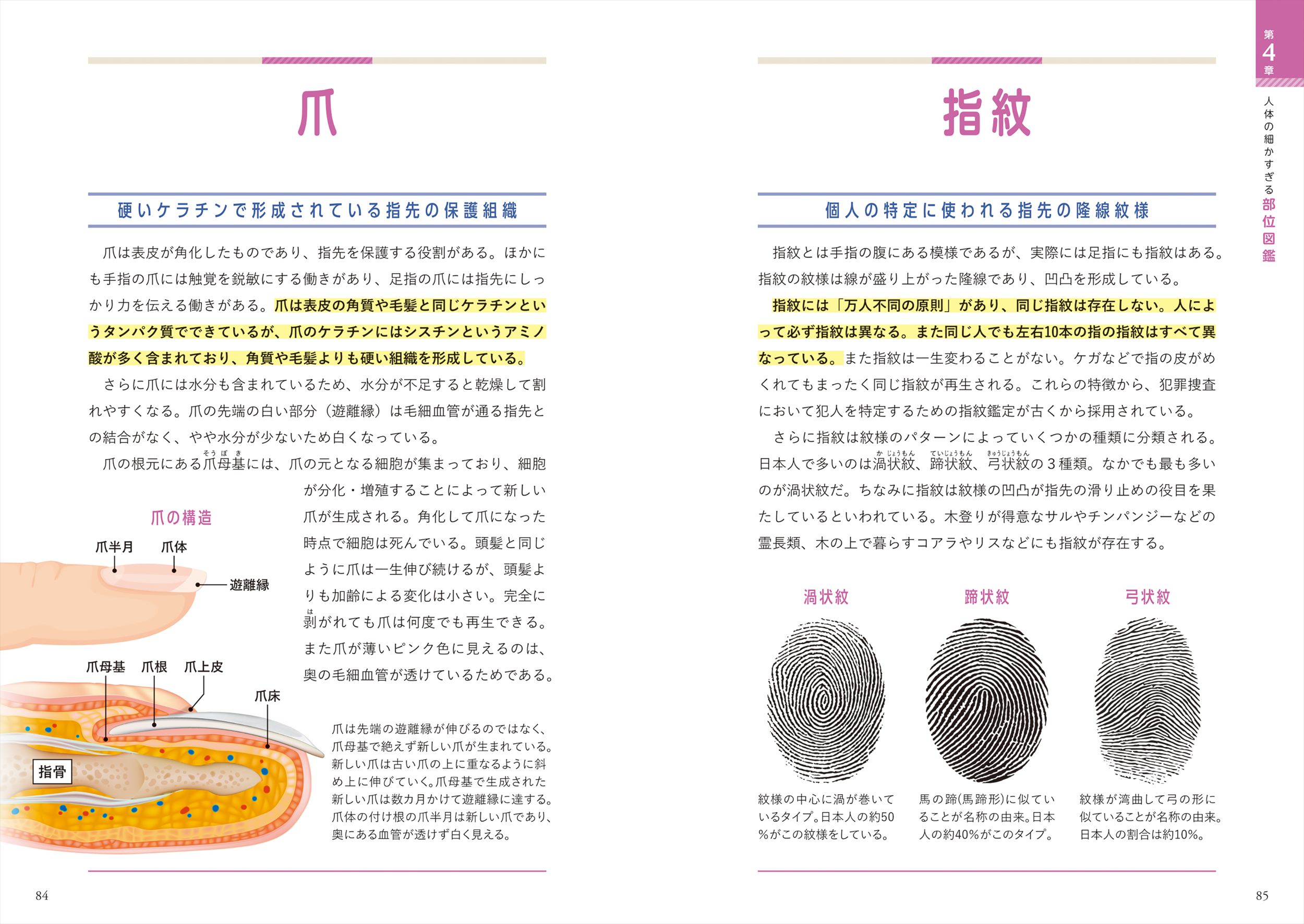 サムネイル画像2