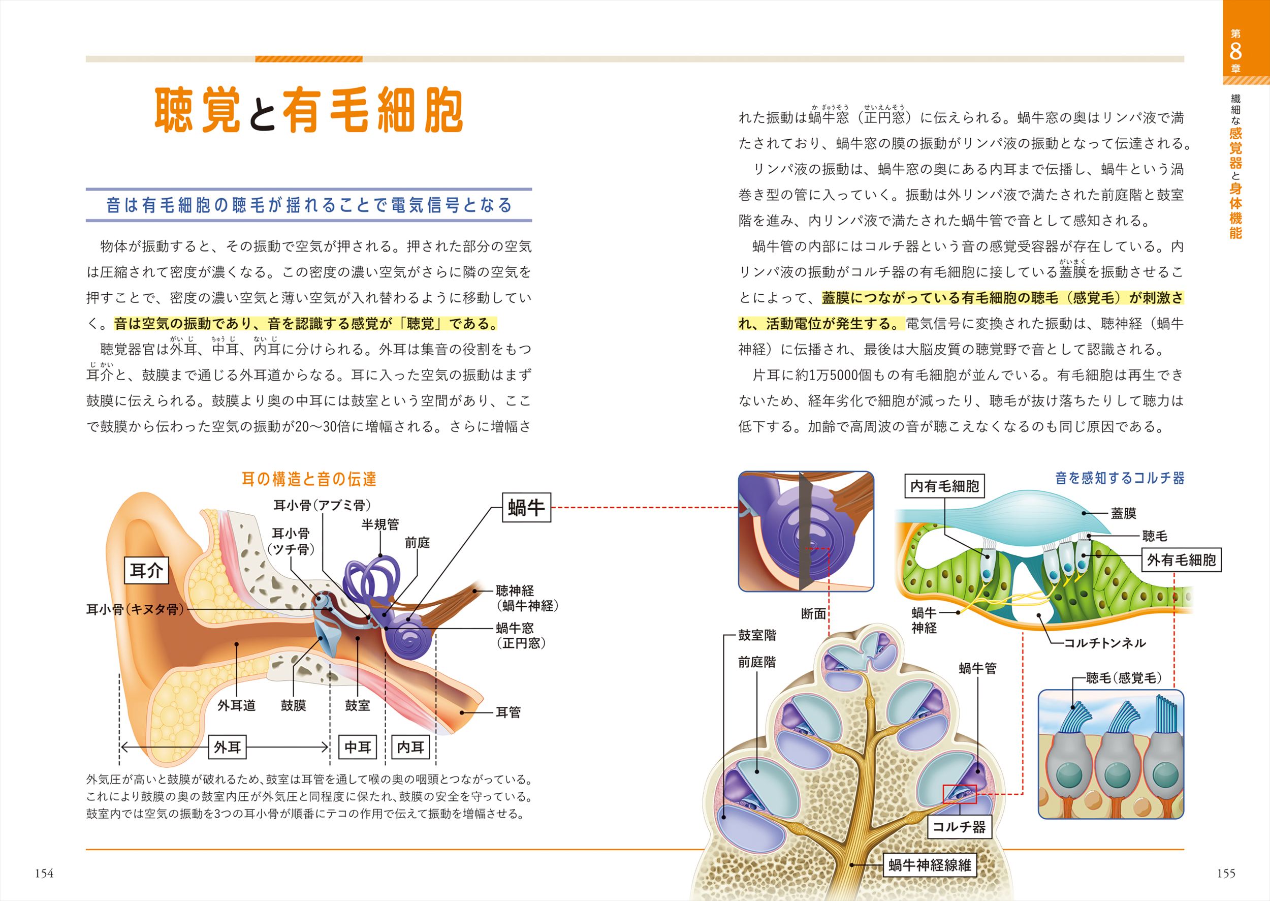 サムネイル画像5