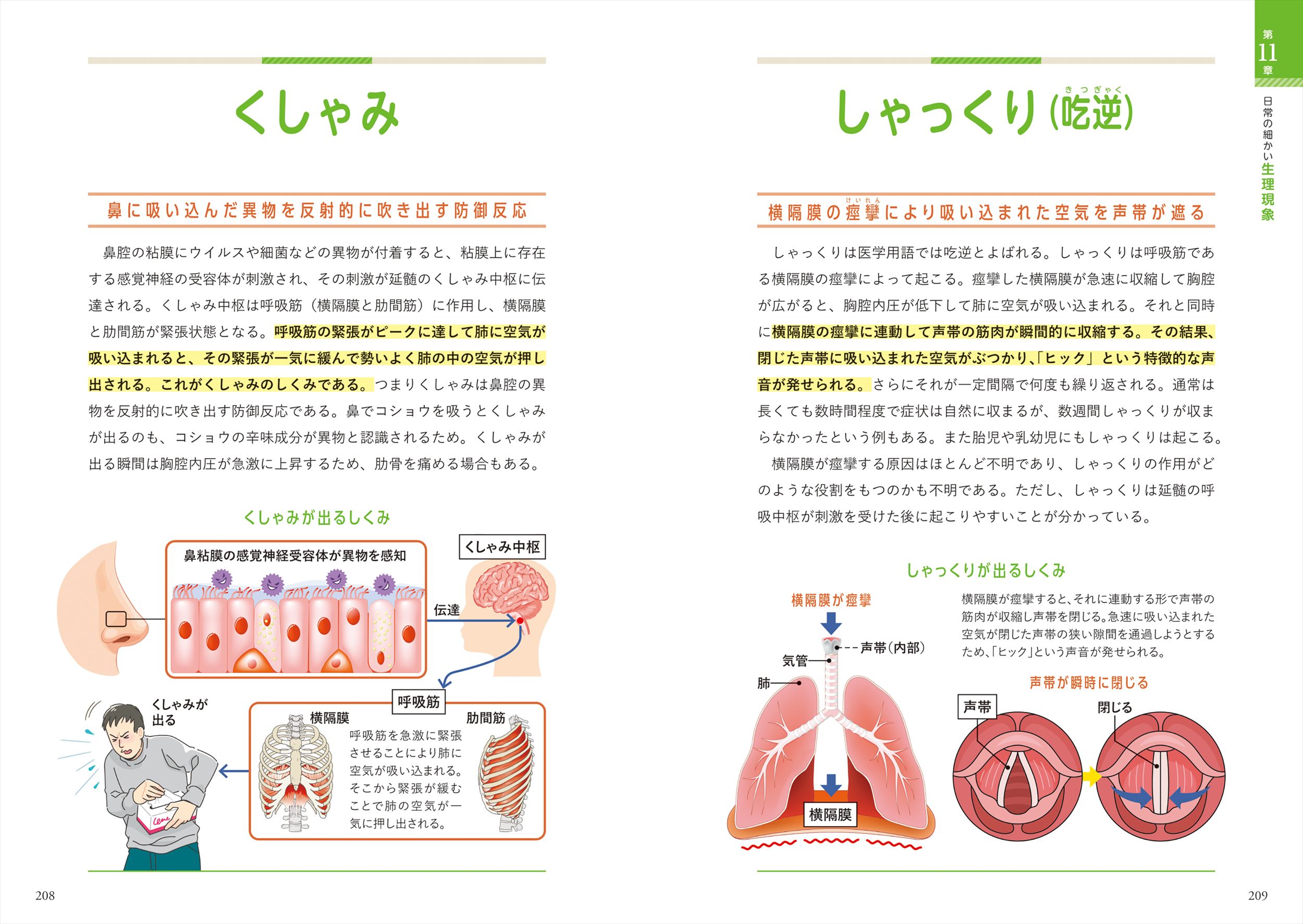 サムネイル画像6
