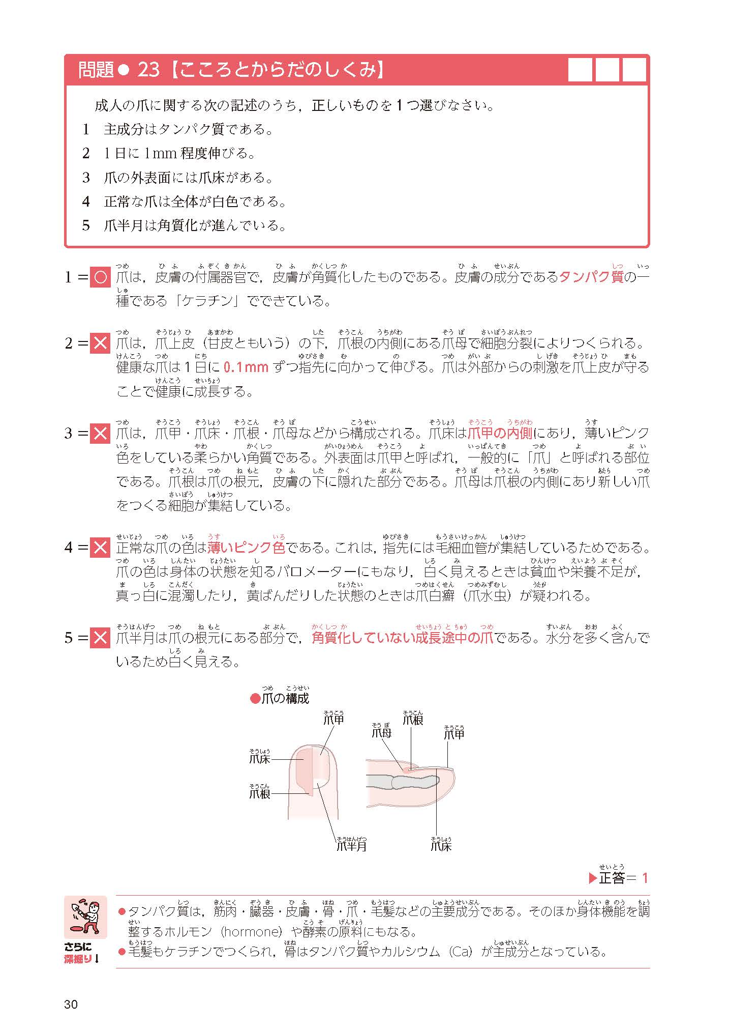 サムネイル画像6