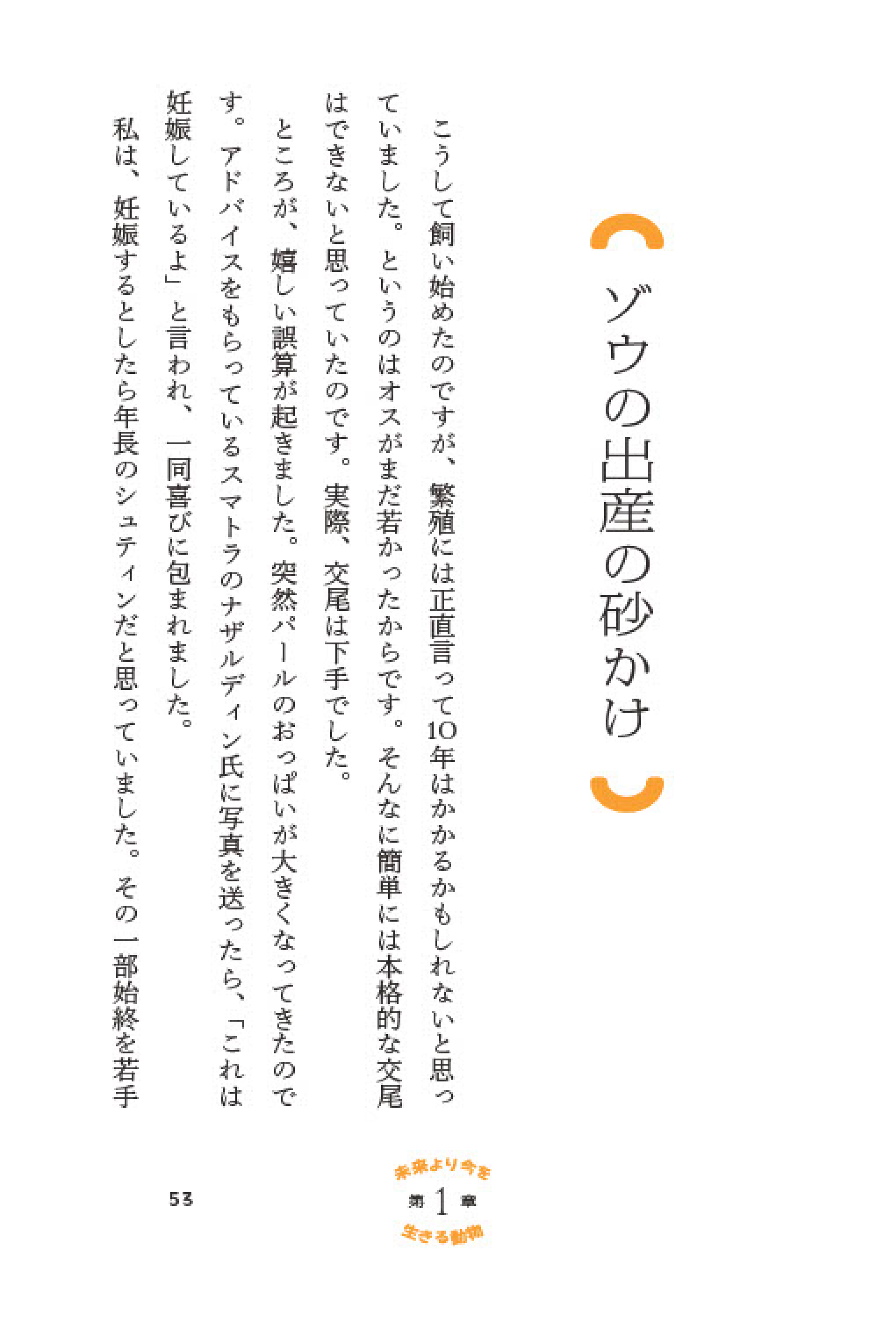 サムネイル画像8