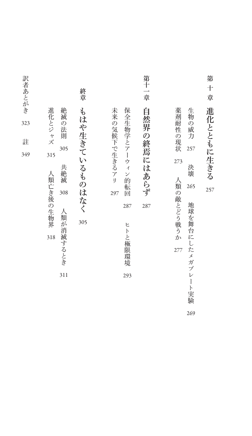 サムネイル画像4