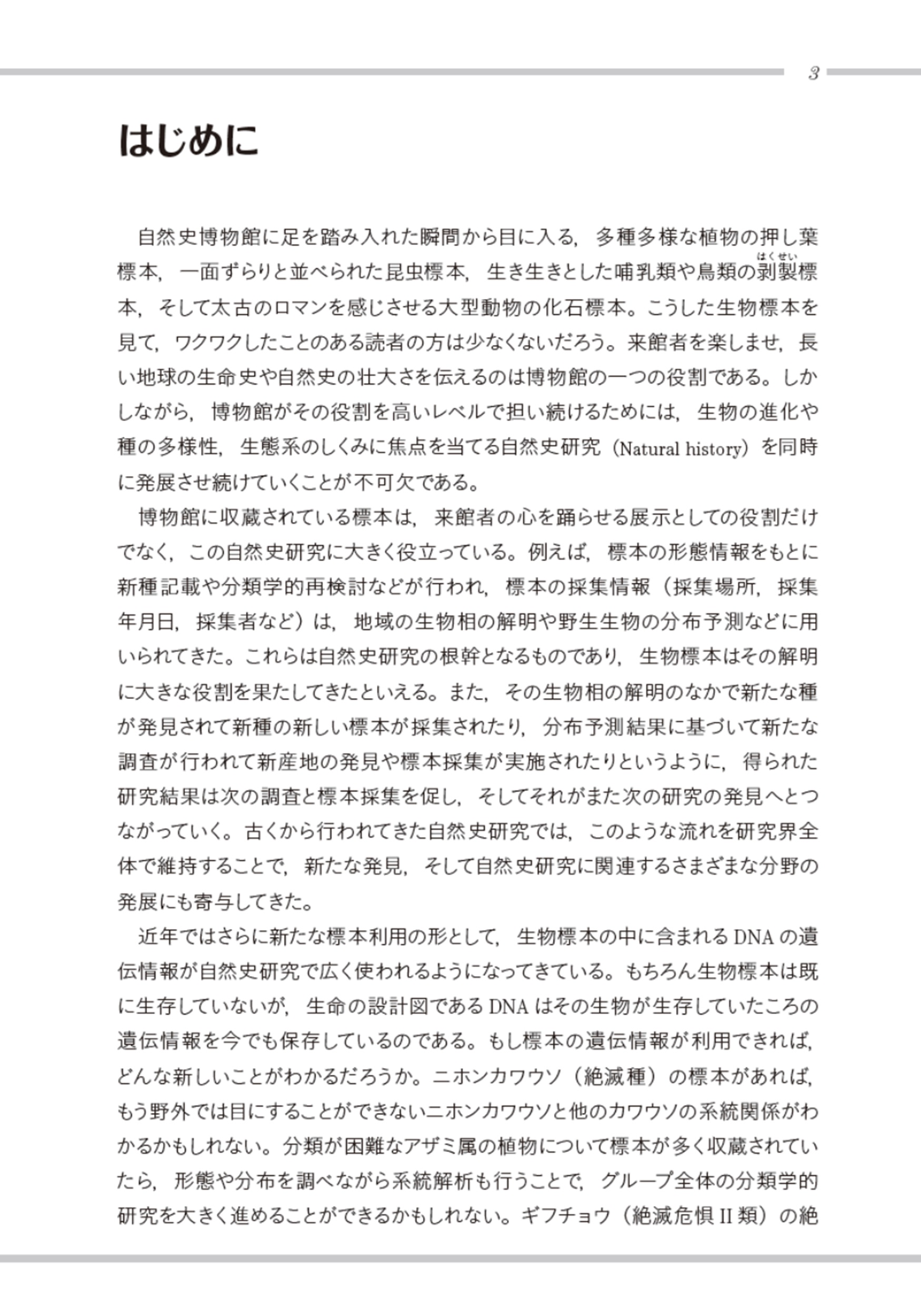 サムネイル画像5