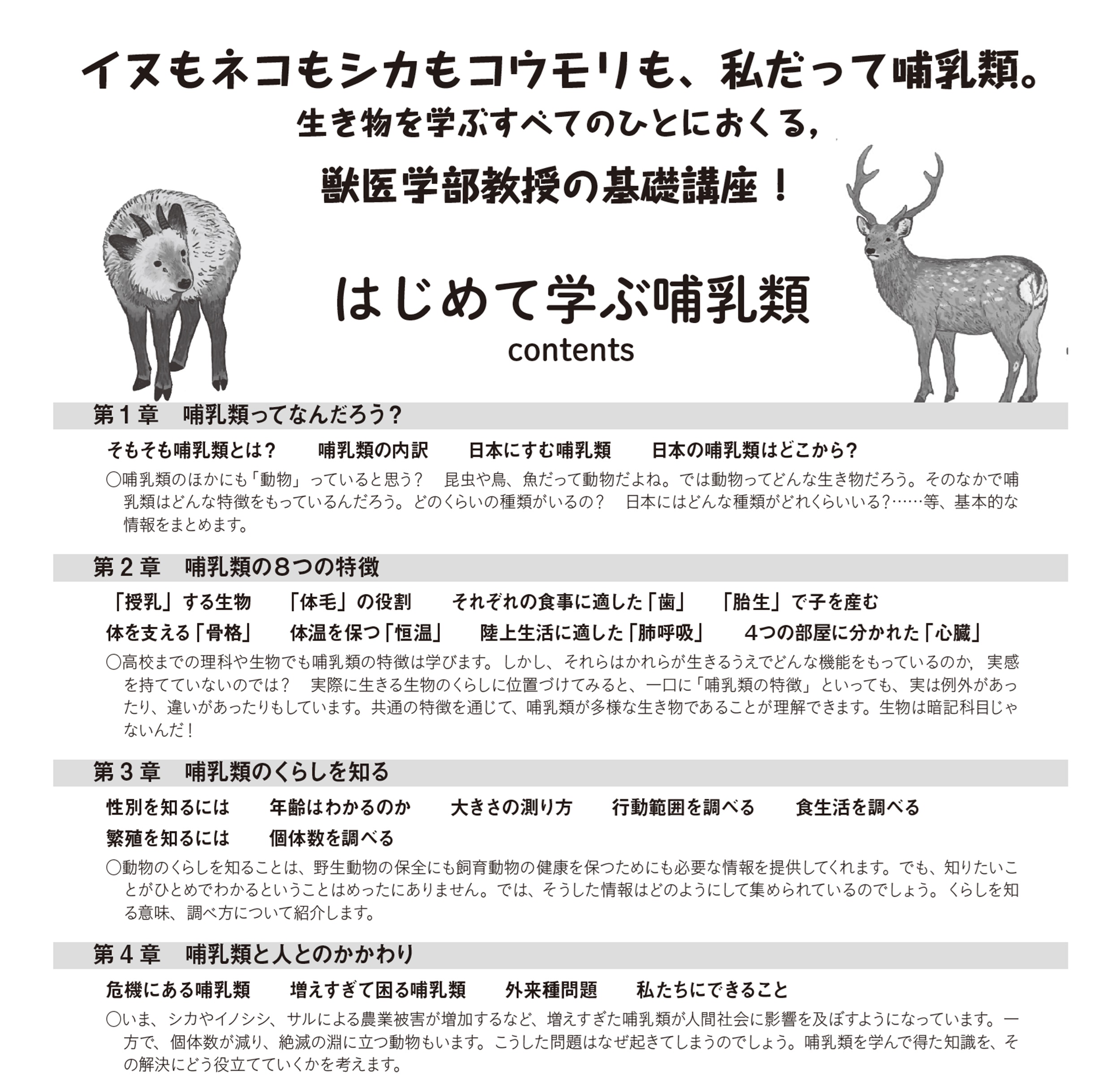 サムネイル画像3