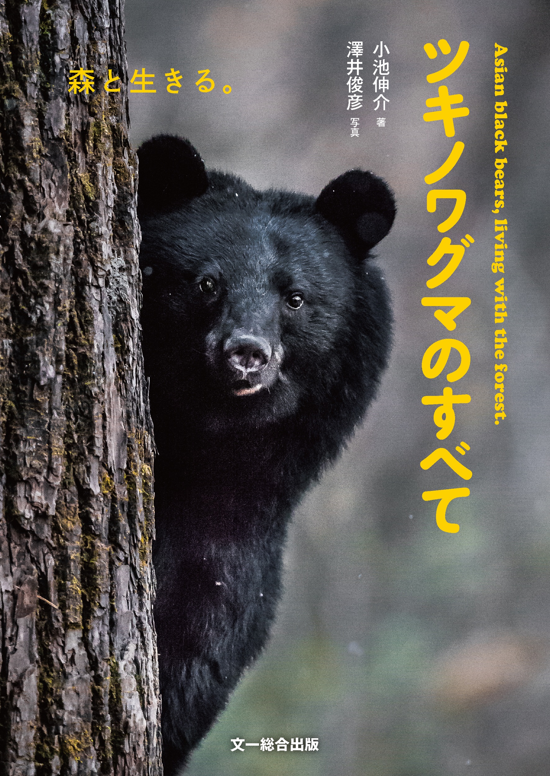 サムネイル画像1