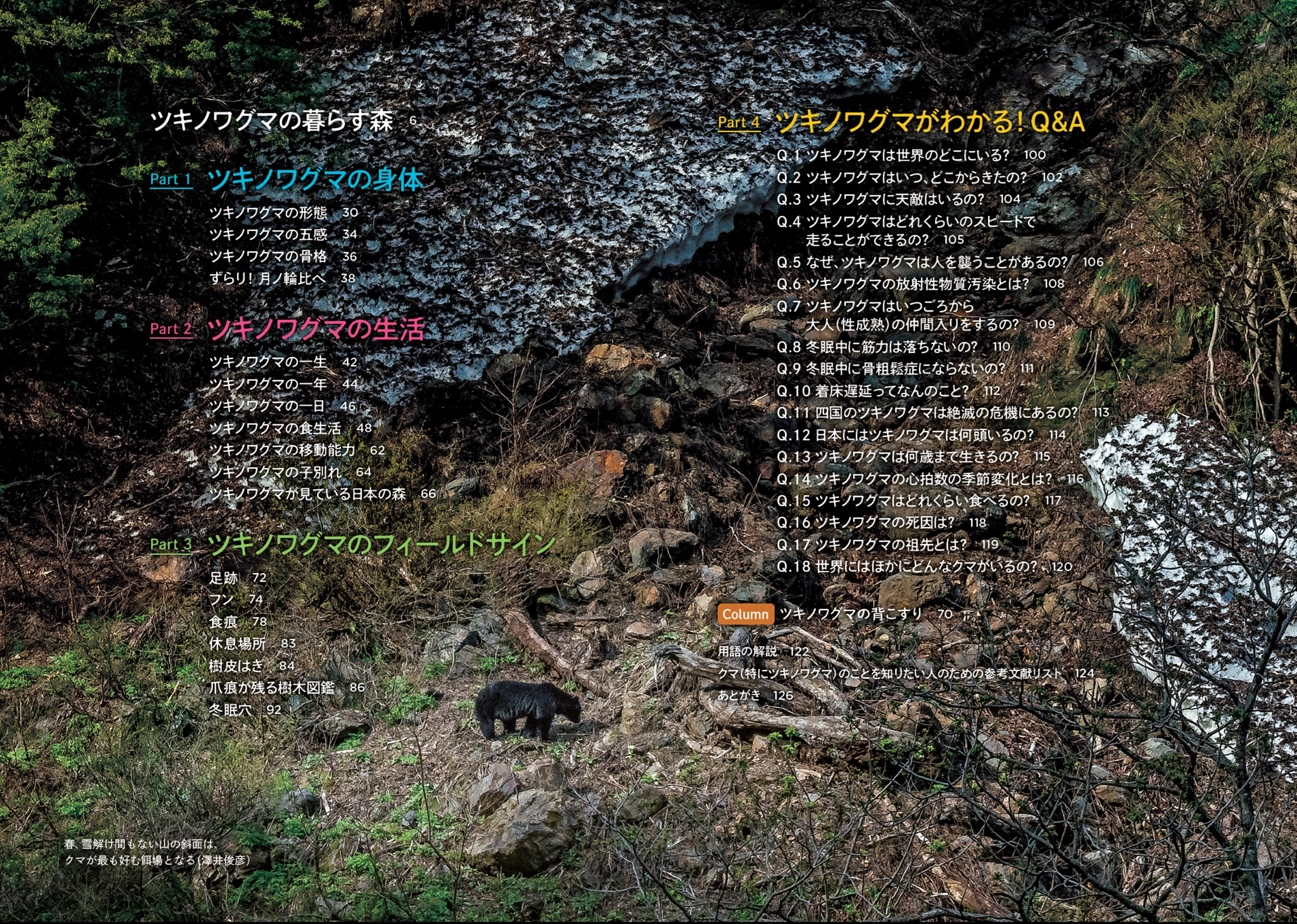 サムネイル画像2