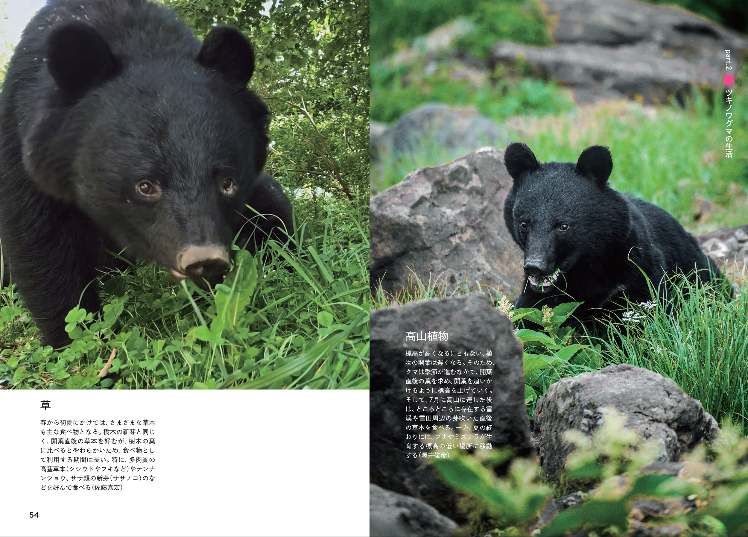 サムネイル画像3