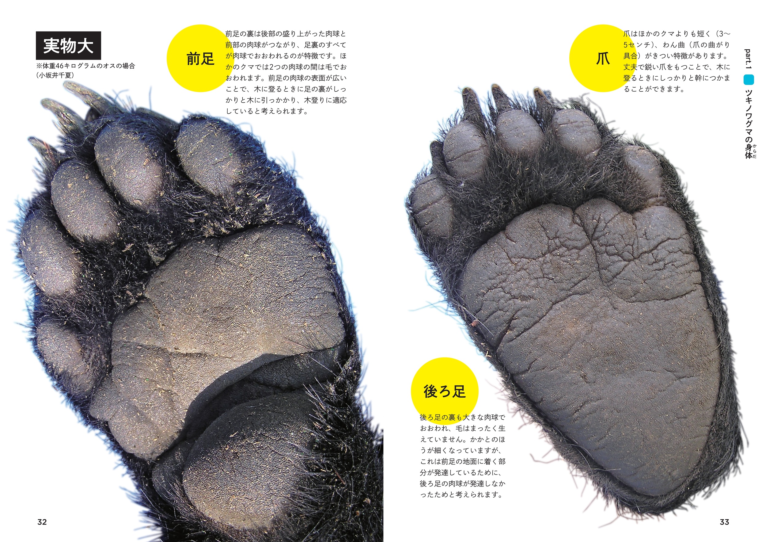 サムネイル画像4
