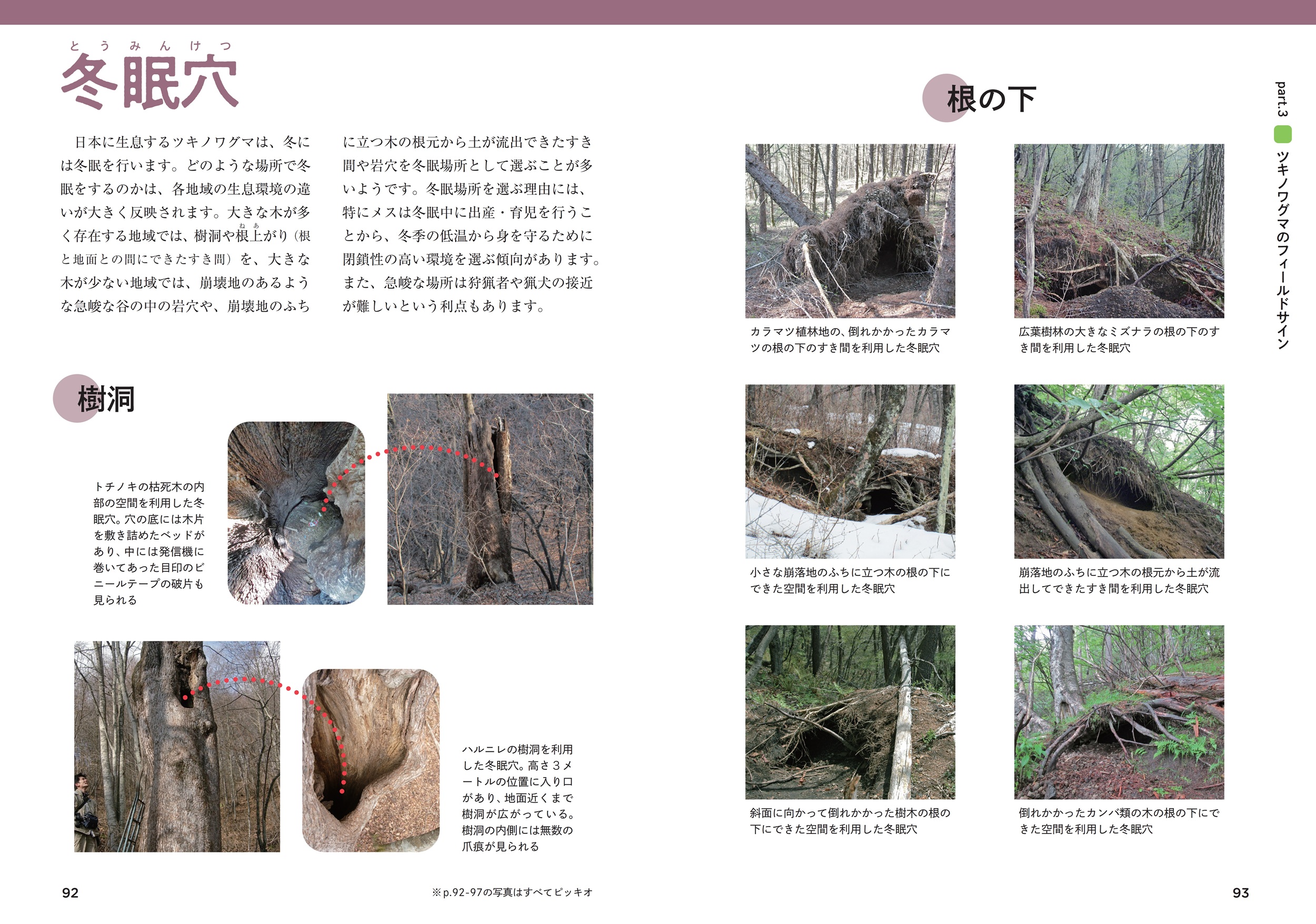 サムネイル画像5