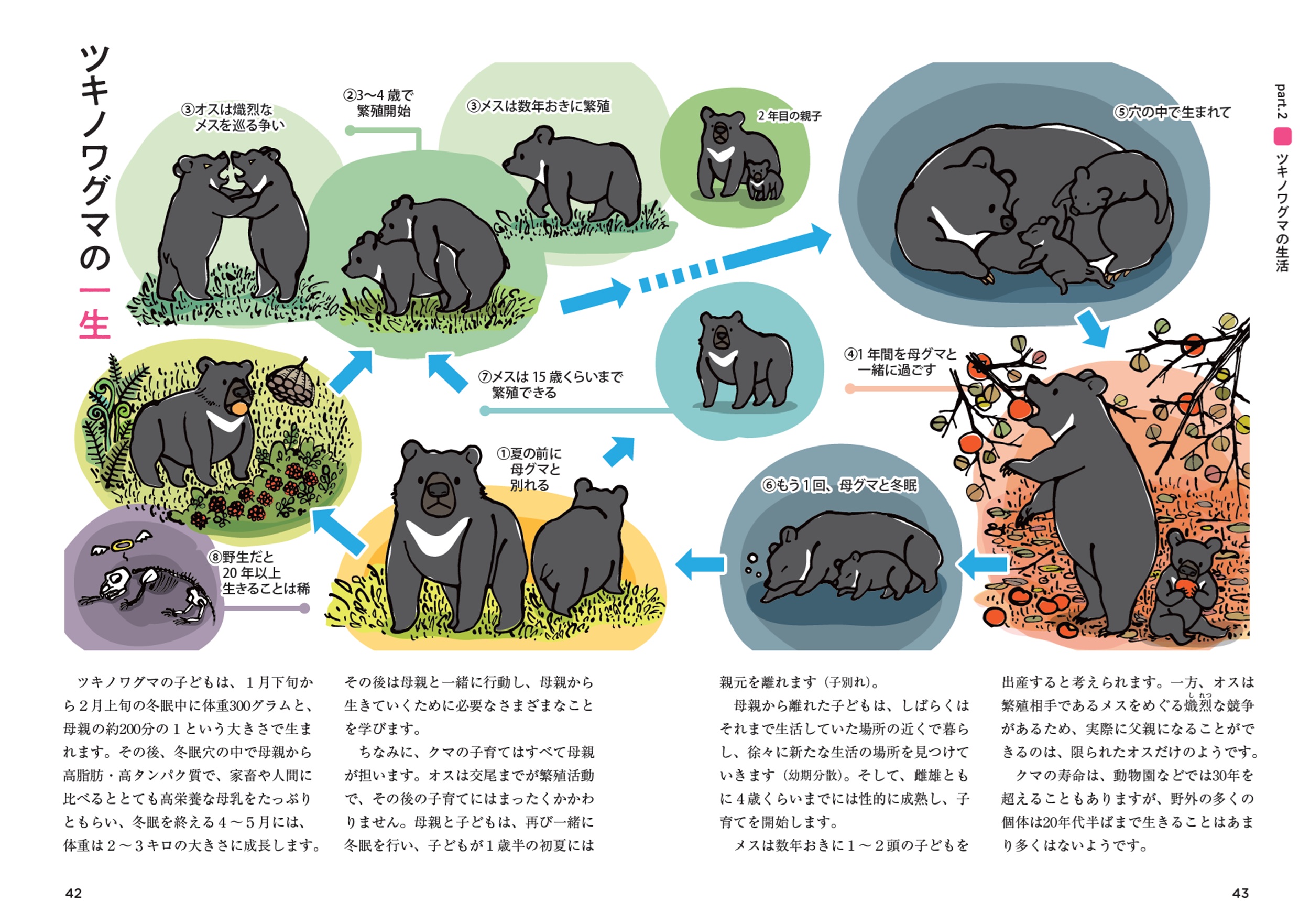 サムネイル画像6
