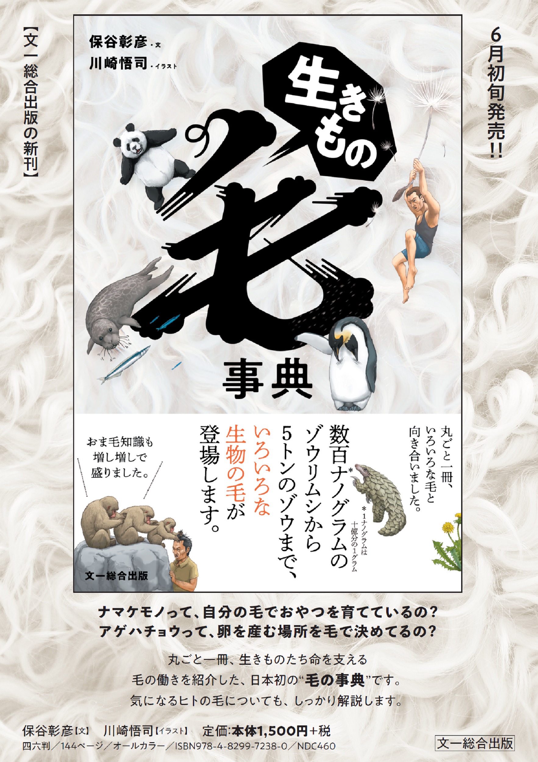 サムネイル画像1