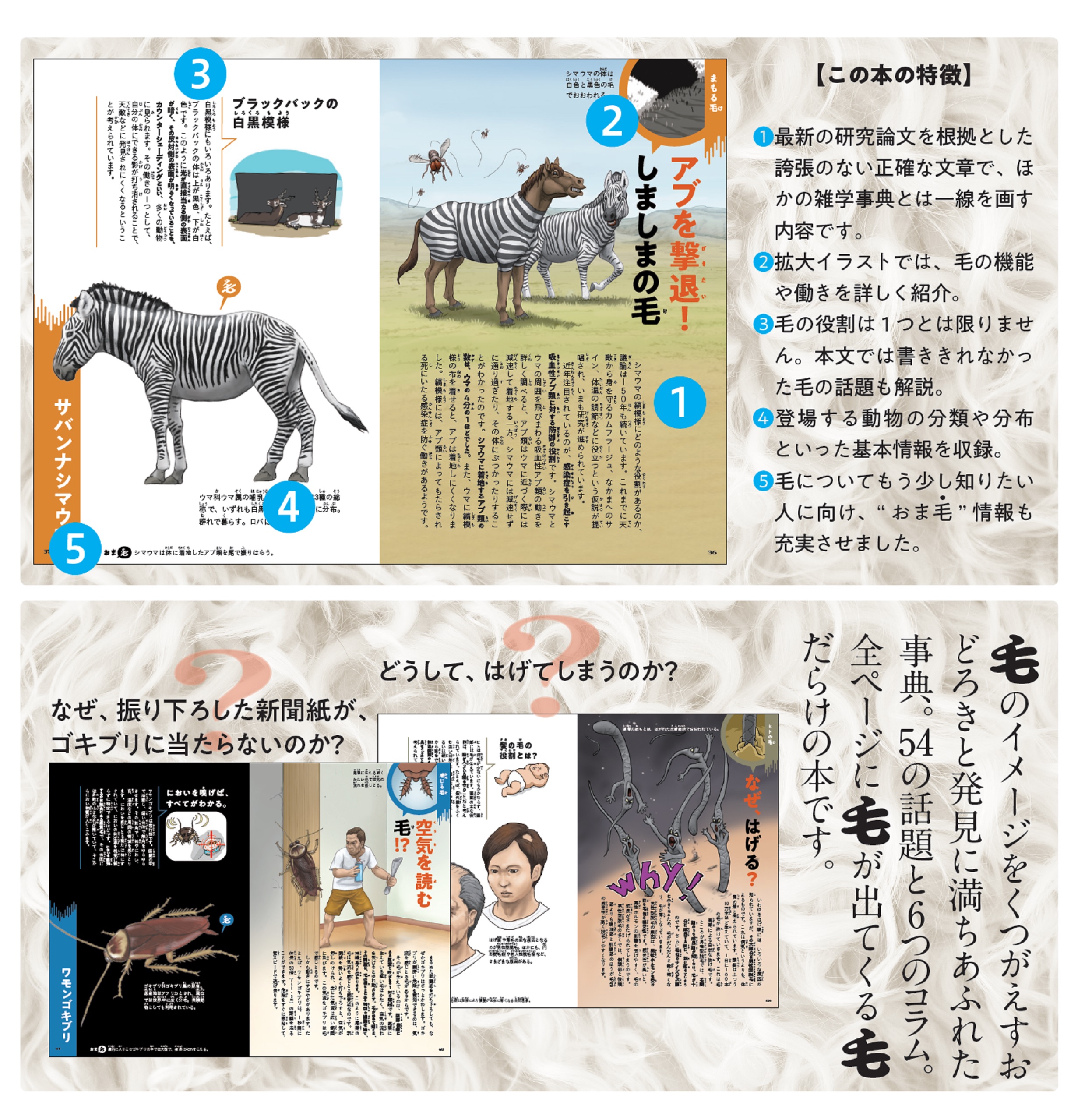 サムネイル画像2