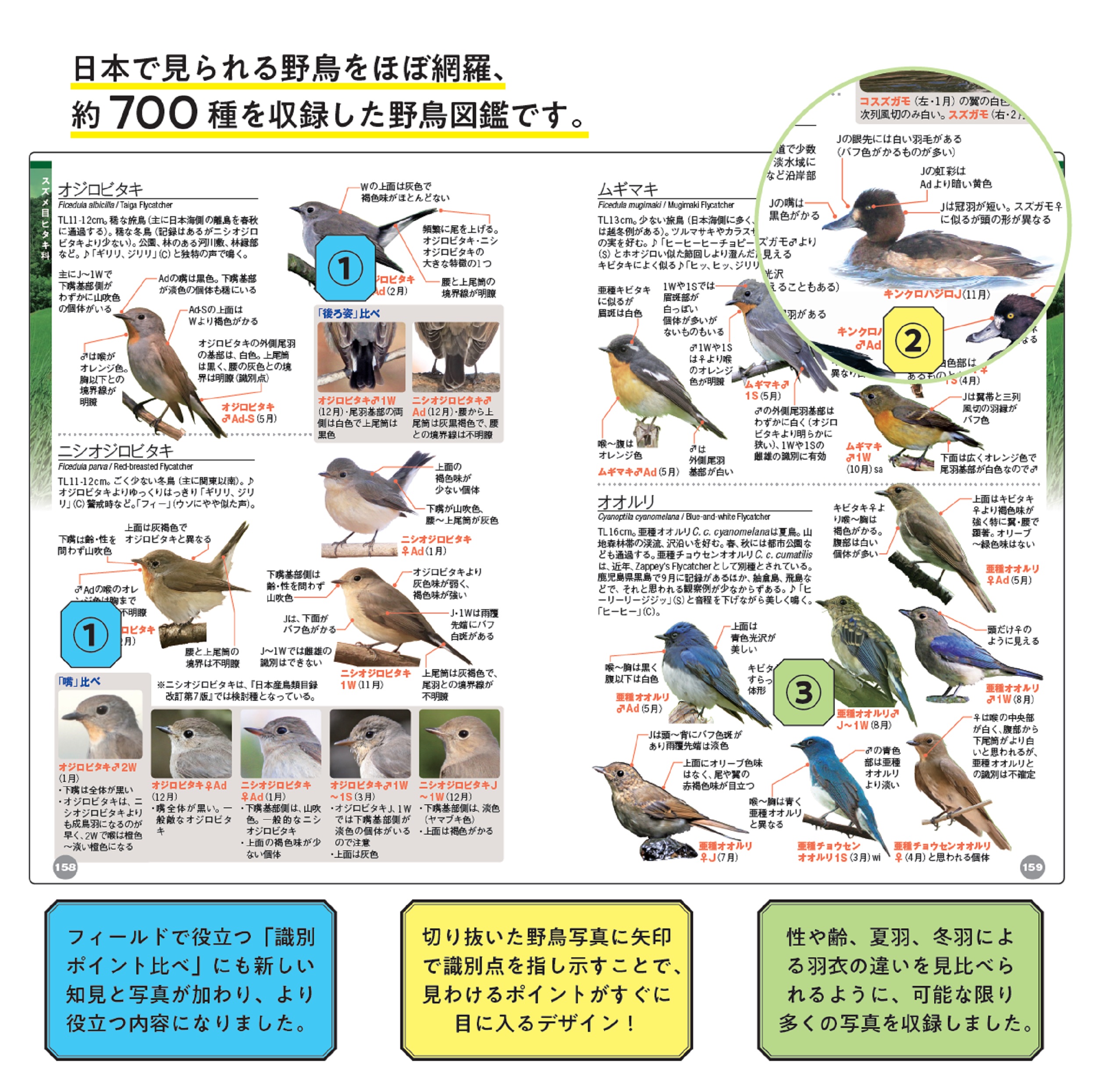 サムネイル画像3