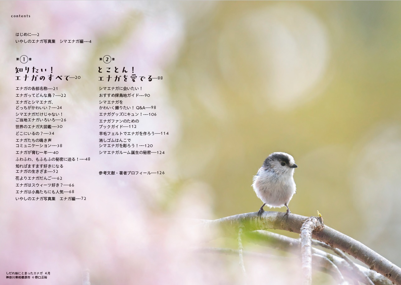 サムネイル画像1