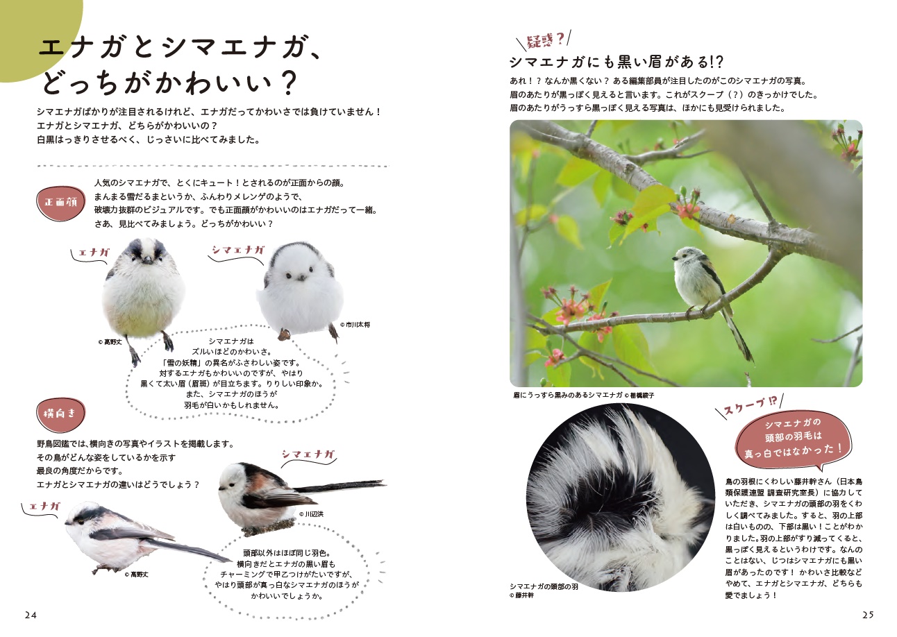 サムネイル画像2