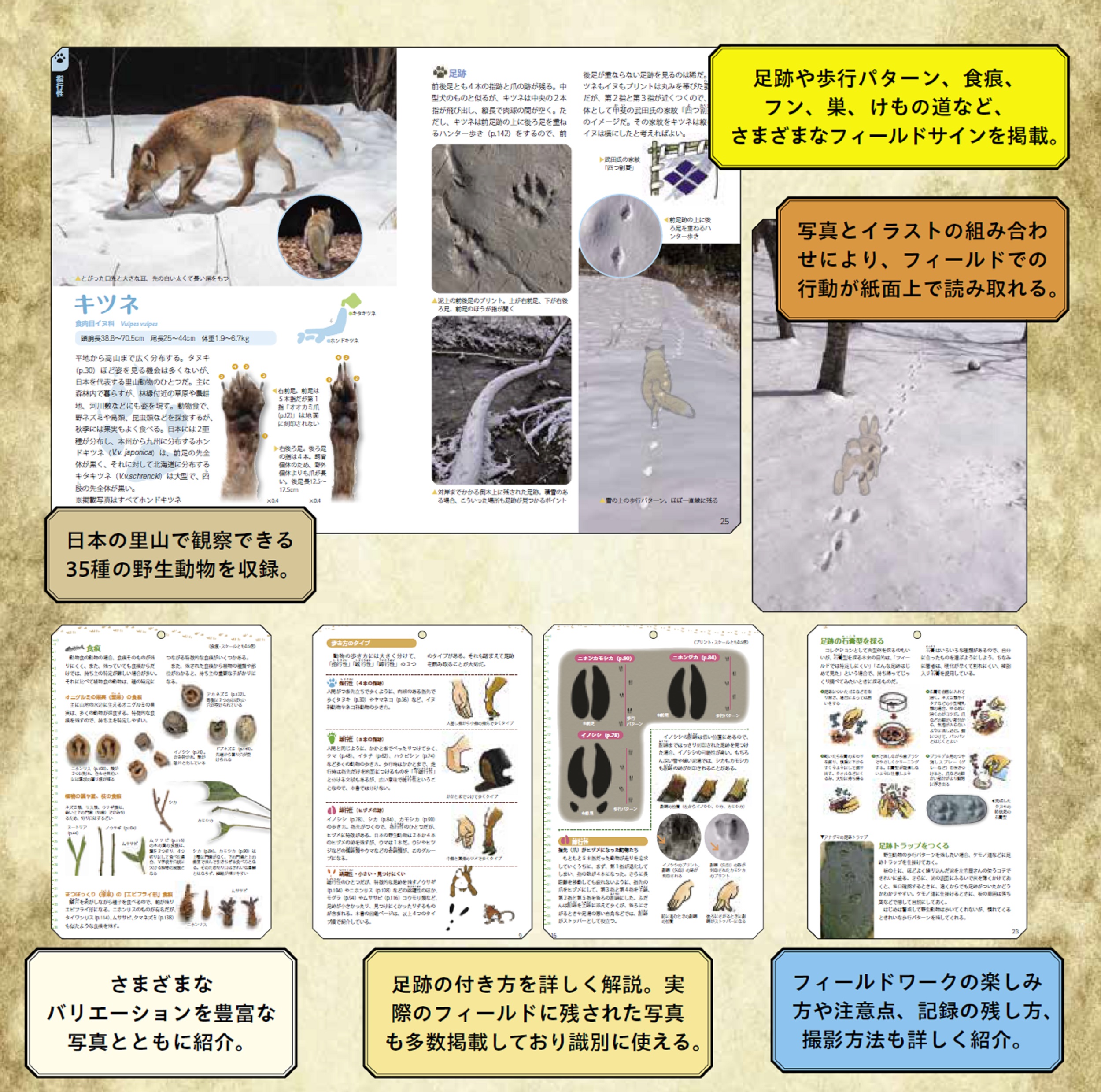 サムネイル画像2