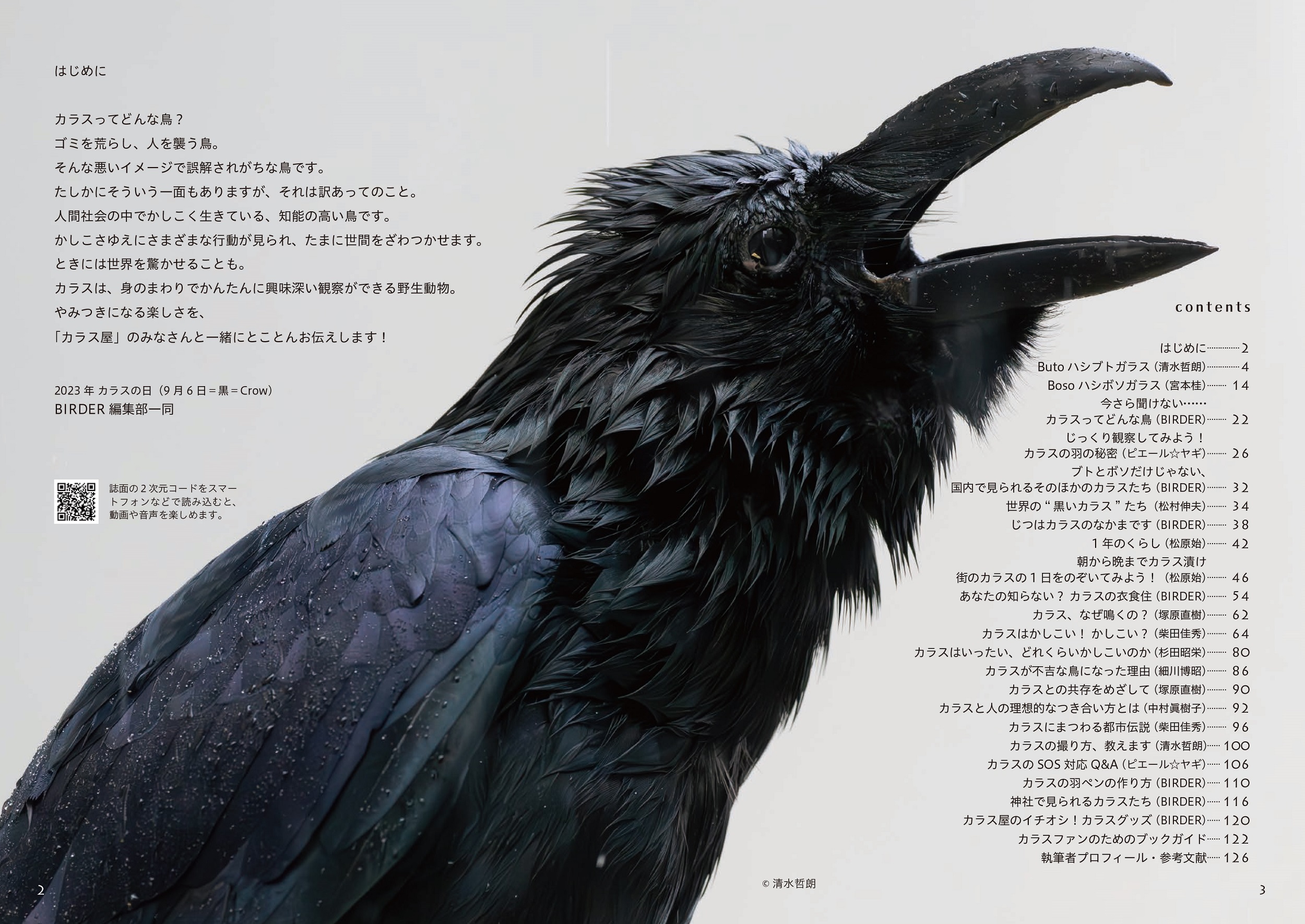 サムネイル画像1