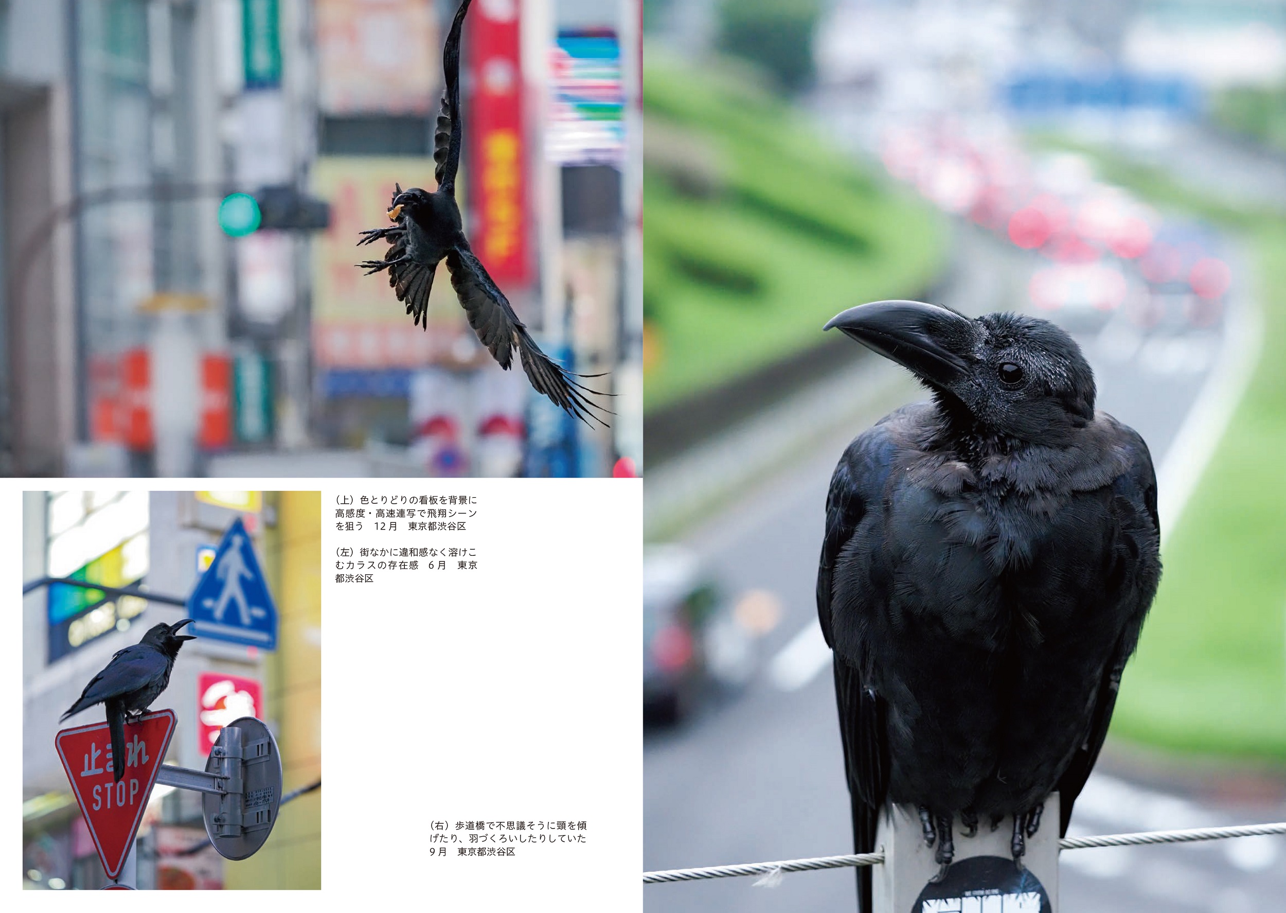 サムネイル画像2