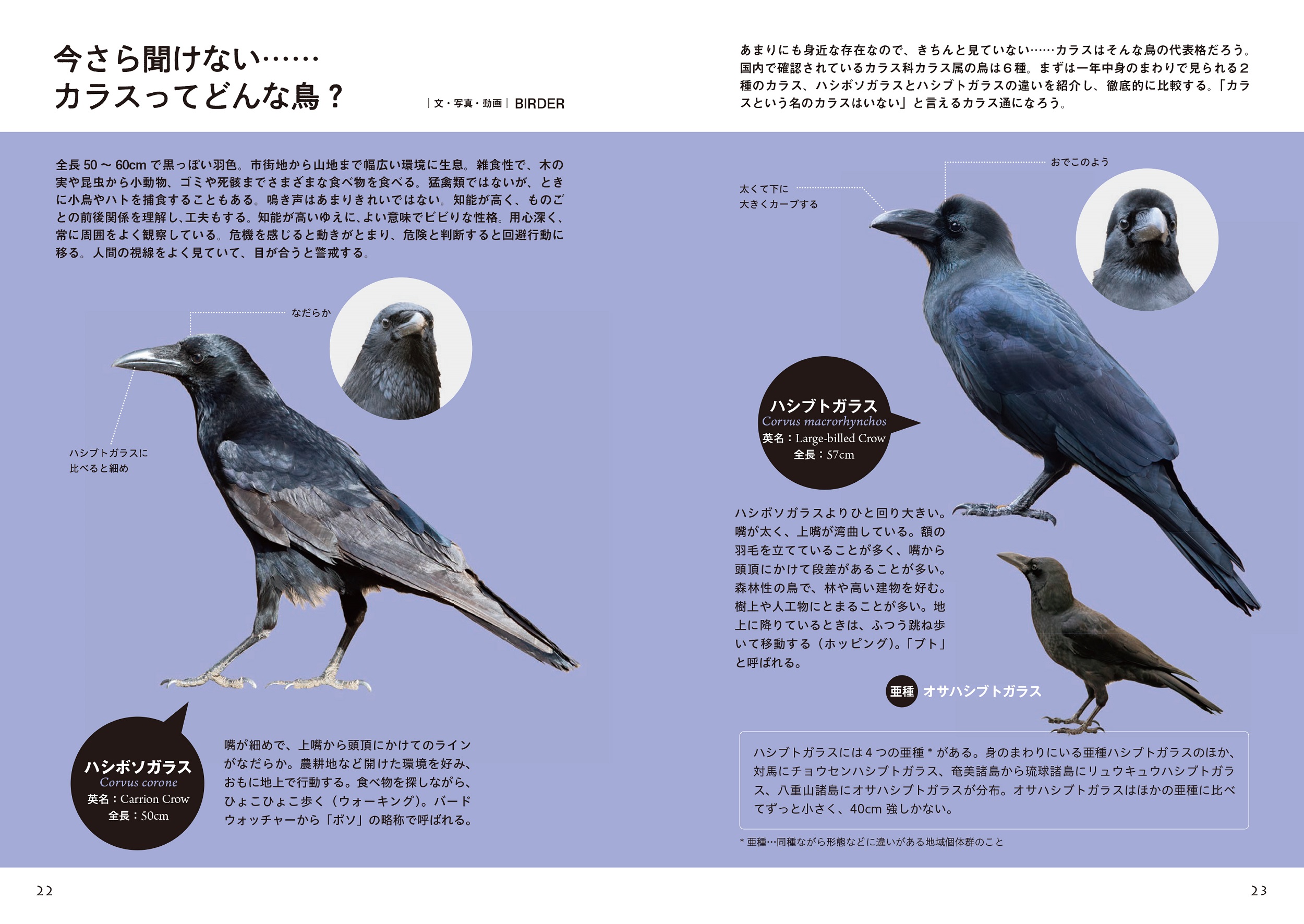 サムネイル画像3