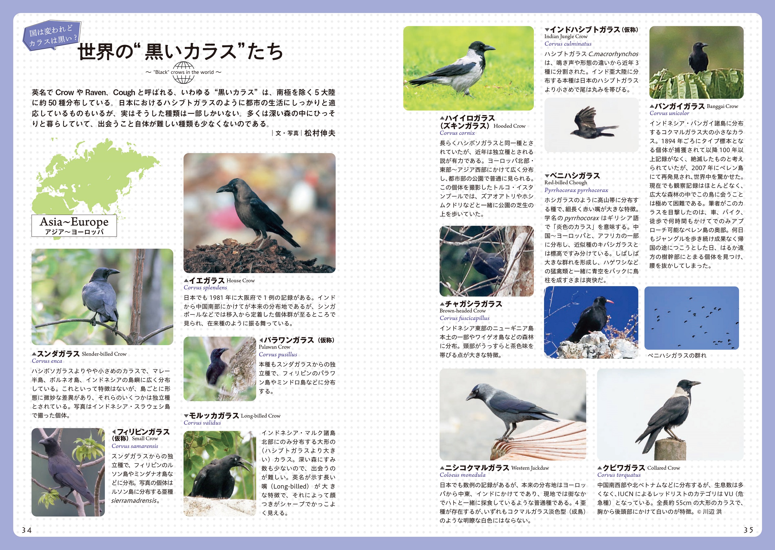 サムネイル画像4