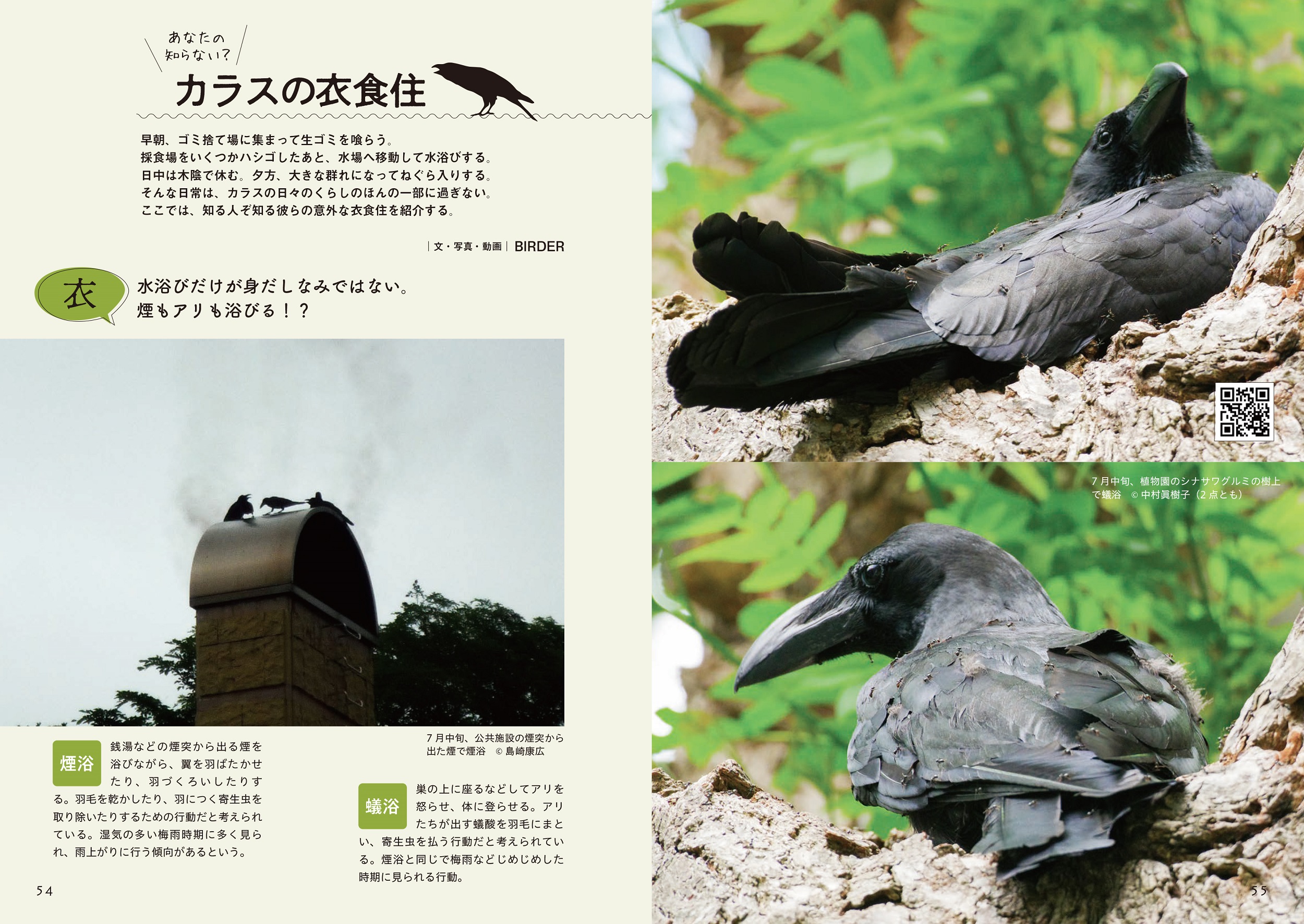サムネイル画像5
