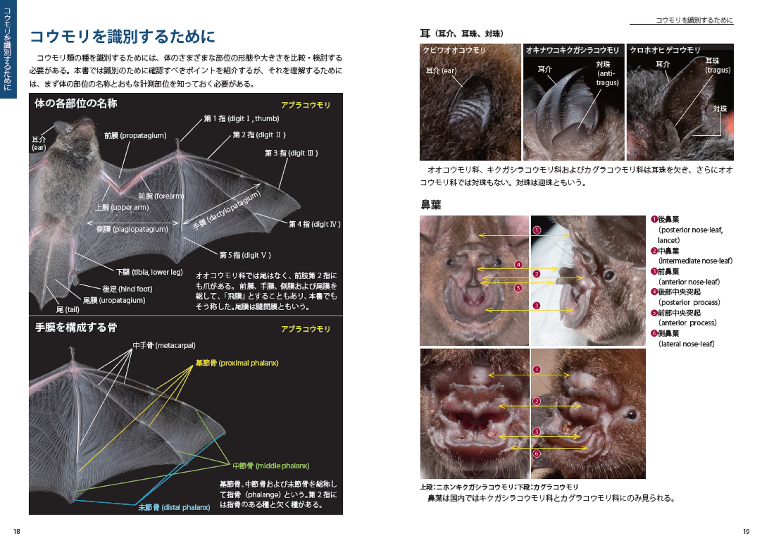 サムネイル画像1