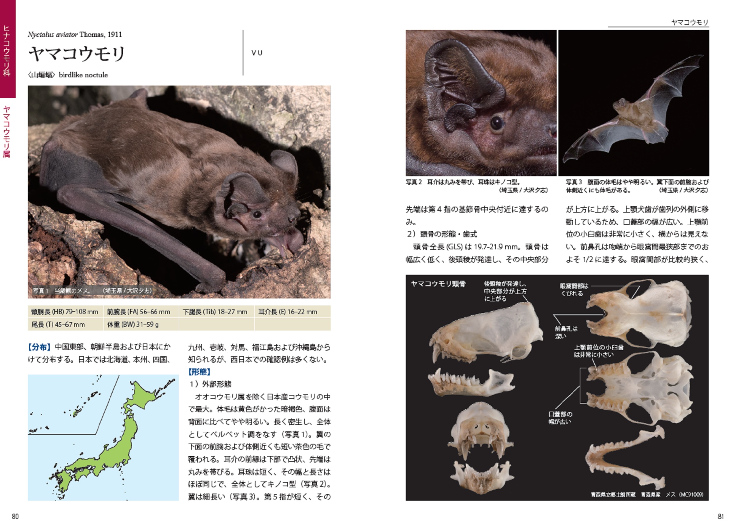 サムネイル画像2