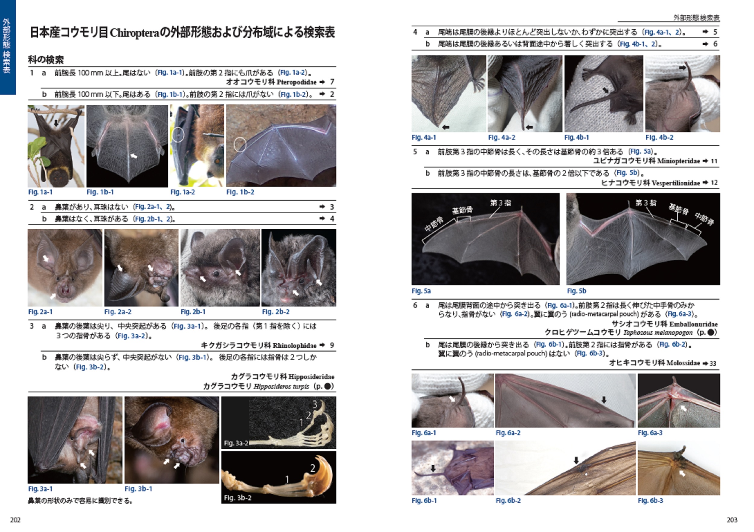 サムネイル画像4
