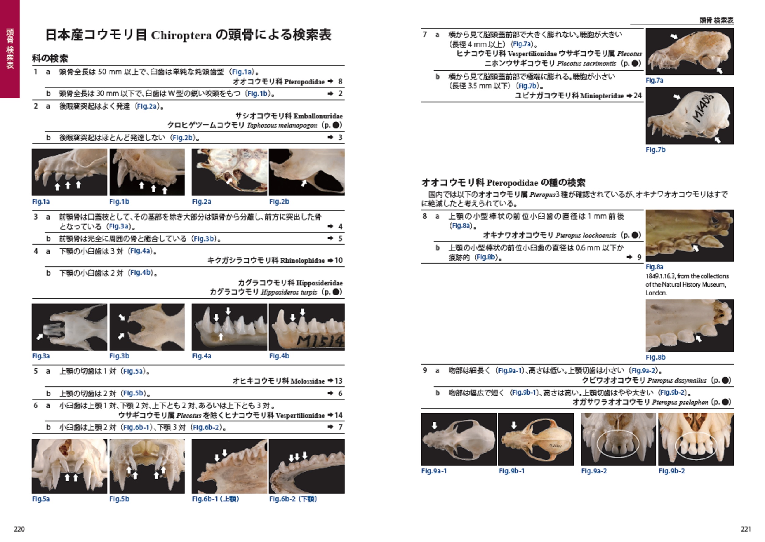 サムネイル画像5
