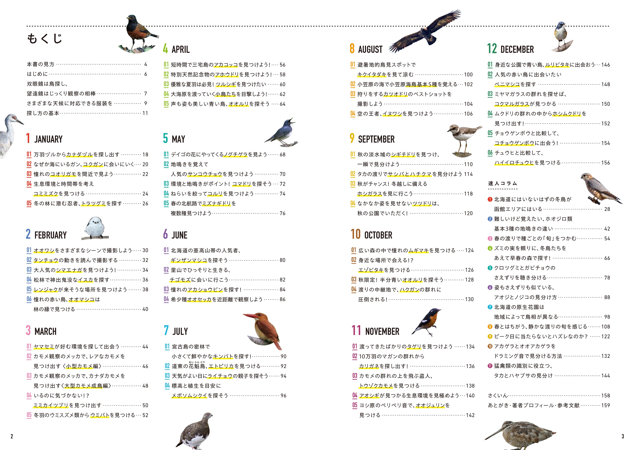 サムネイル画像1