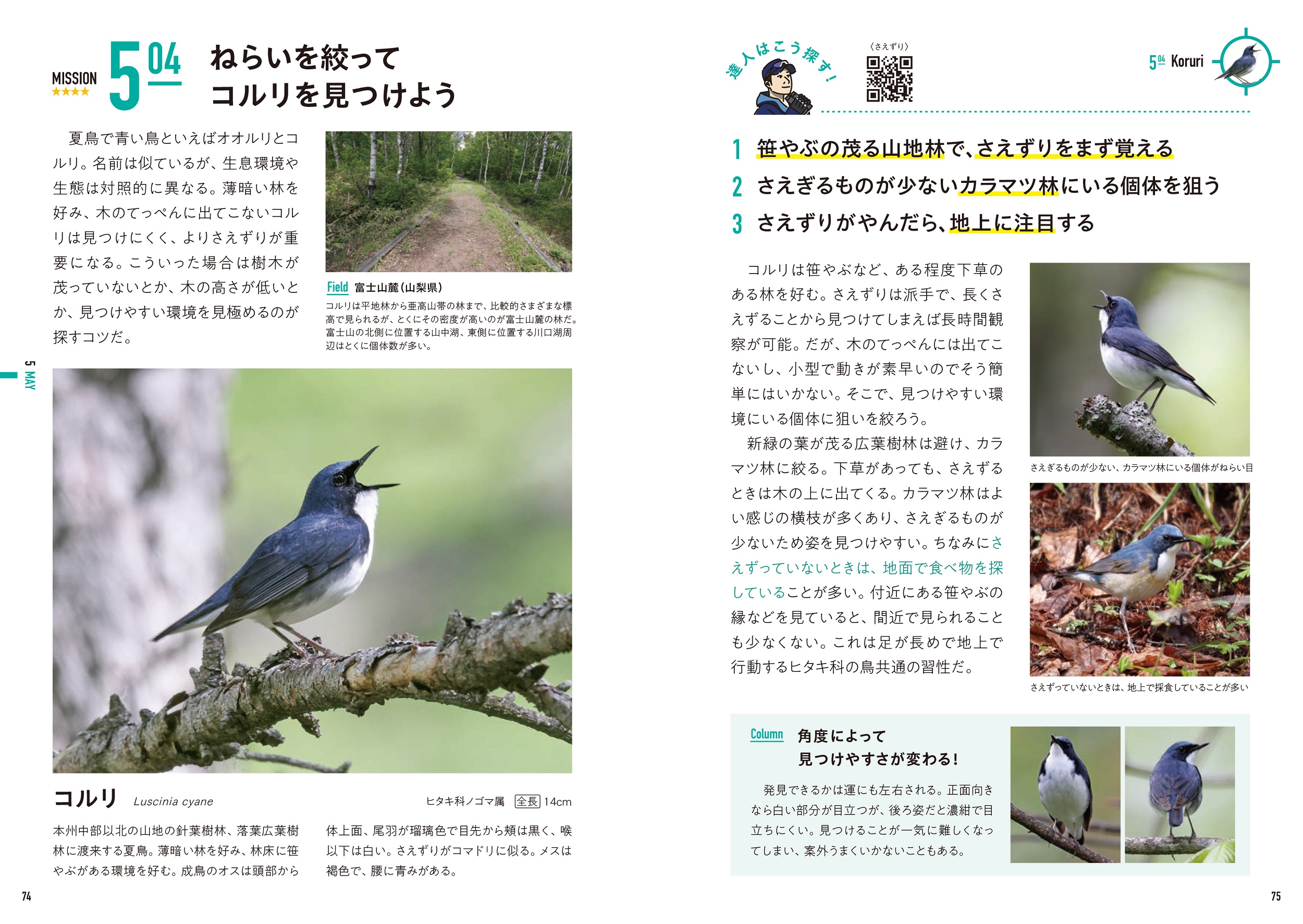 サムネイル画像4