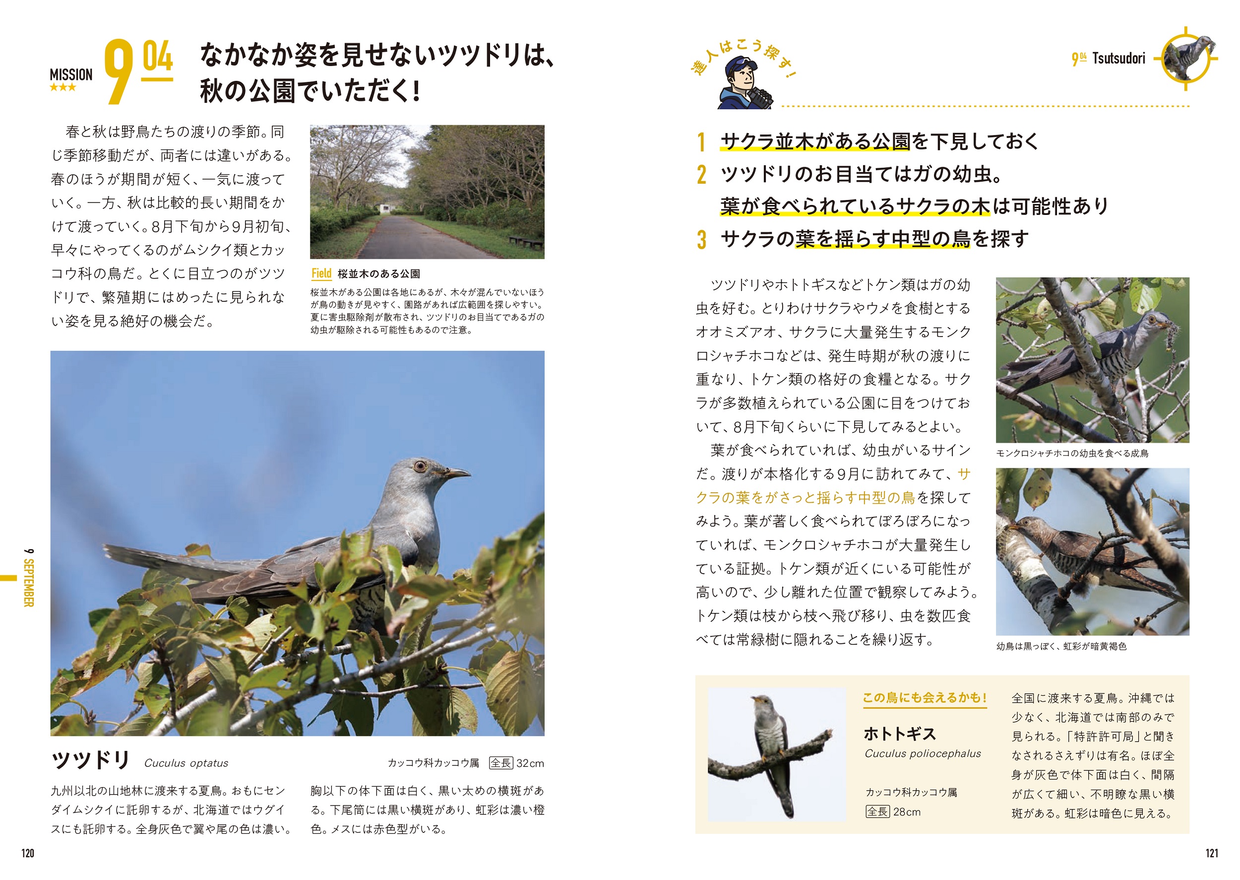 サムネイル画像5