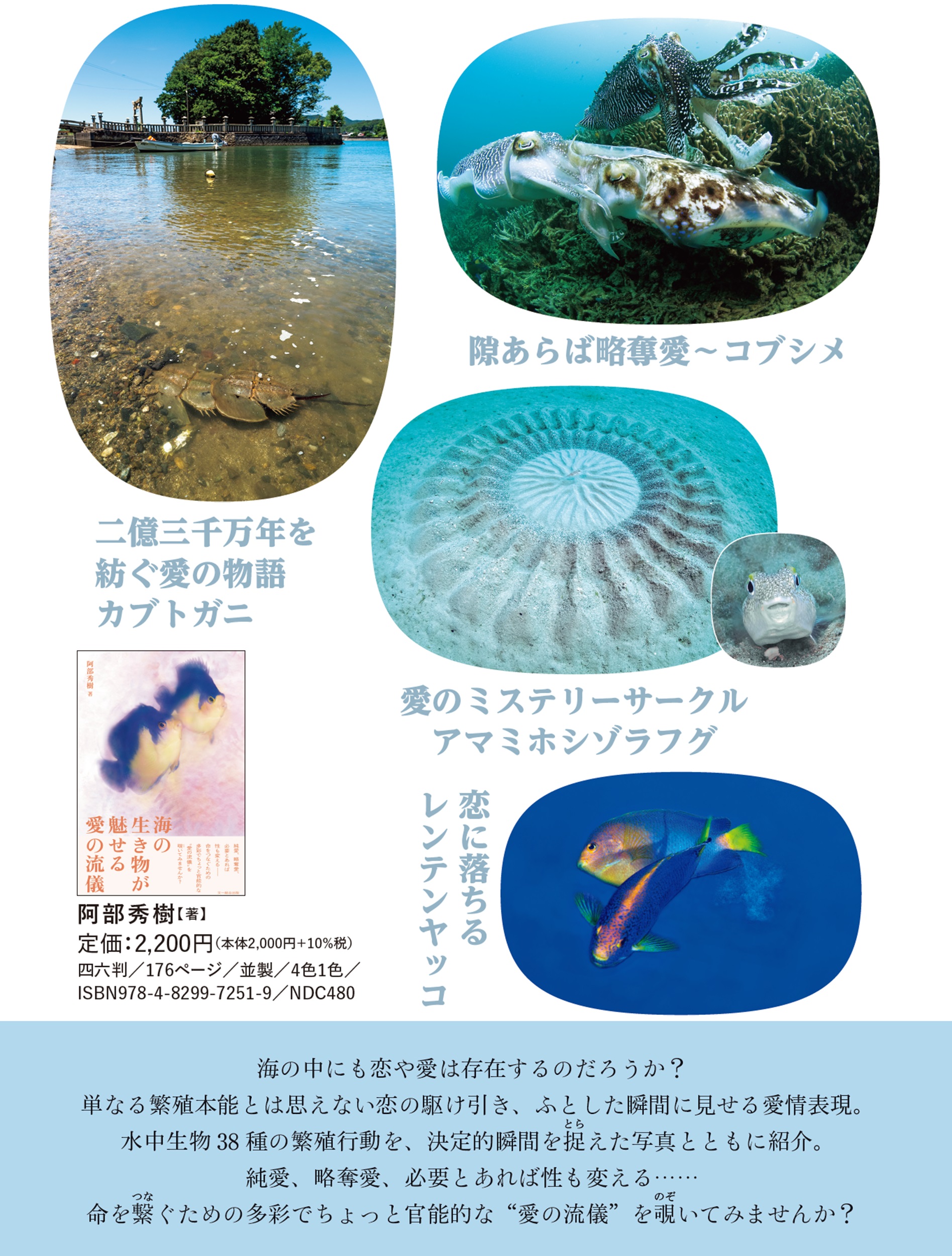 サムネイル画像1
