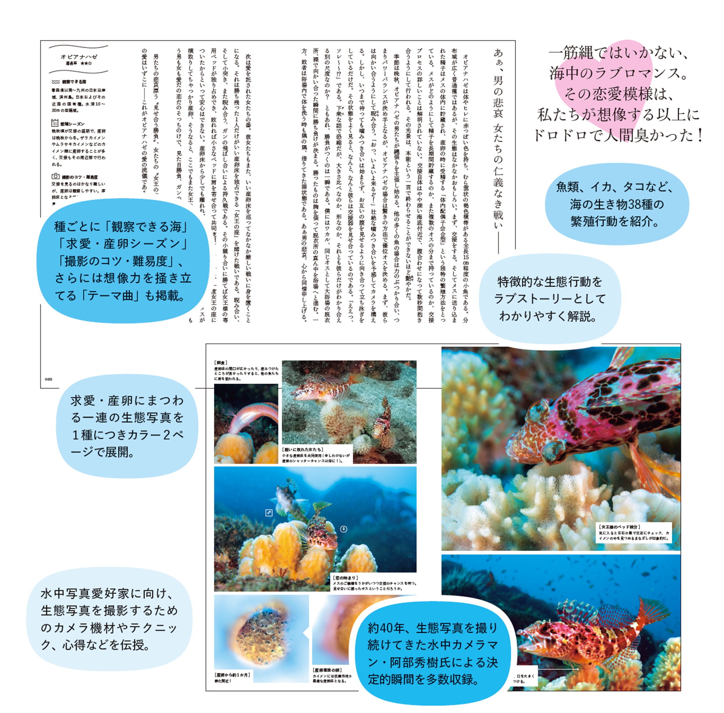 サムネイル画像2