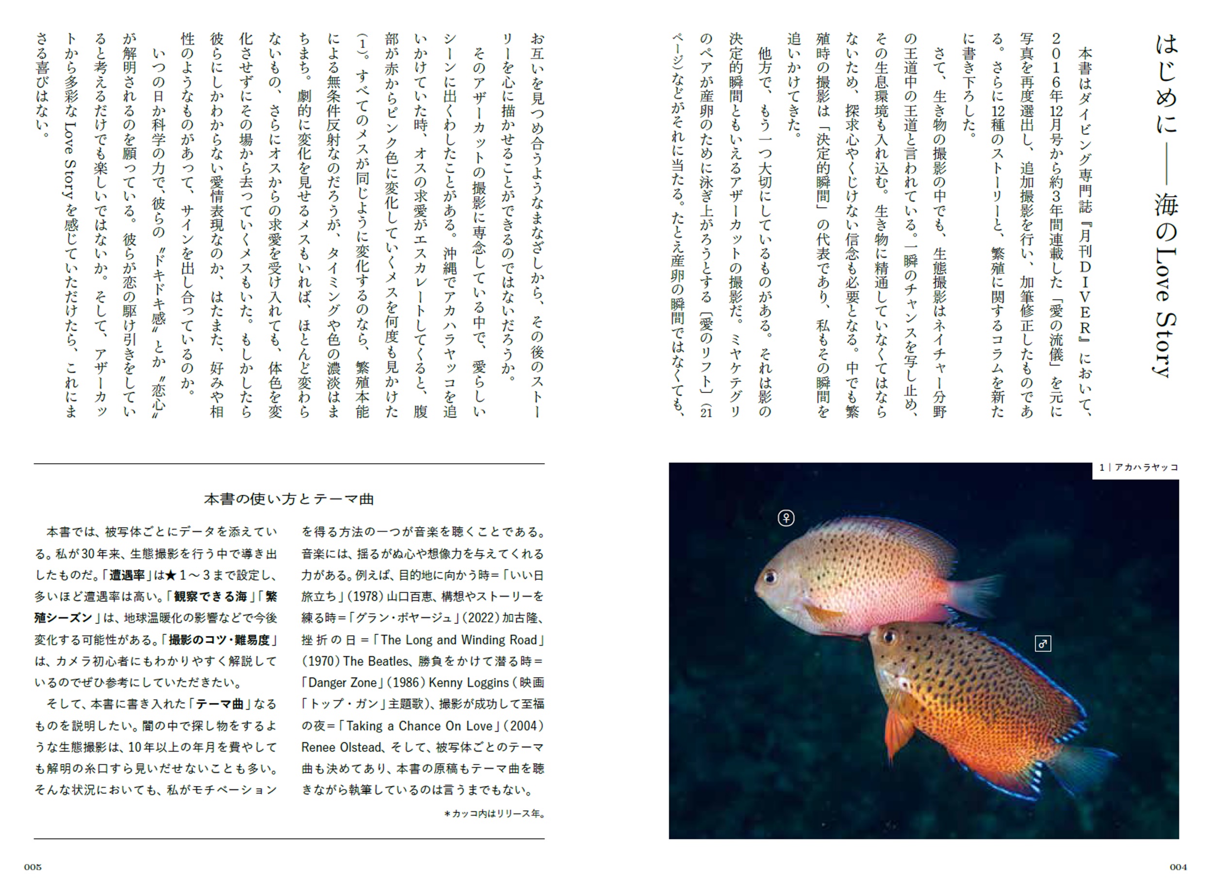 サムネイル画像4