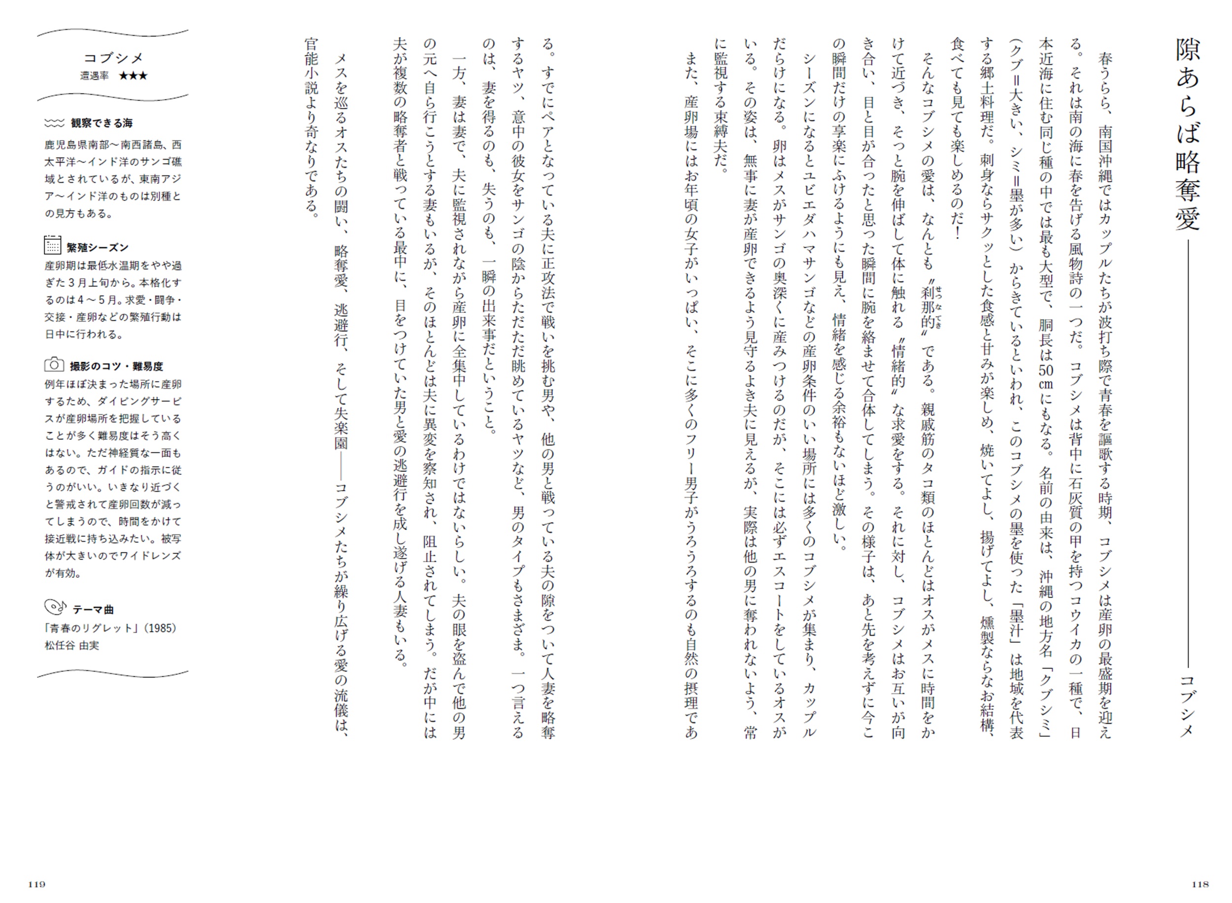 サムネイル画像5