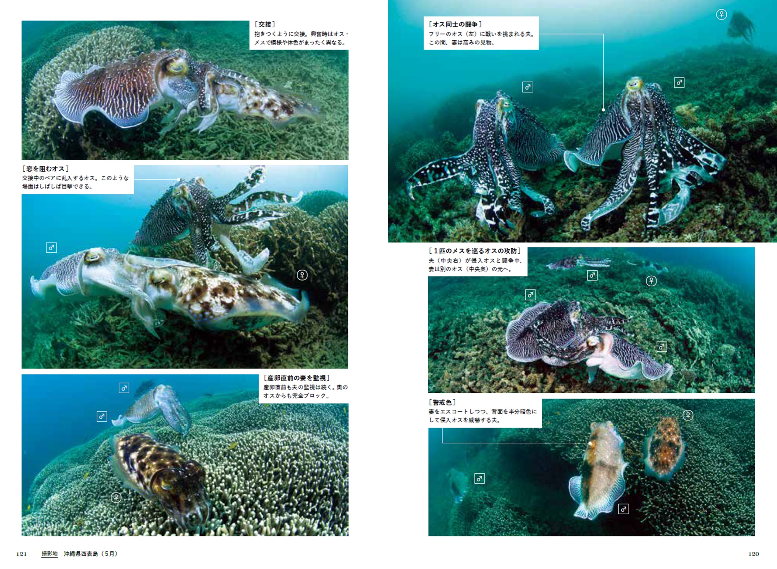 サムネイル画像6
