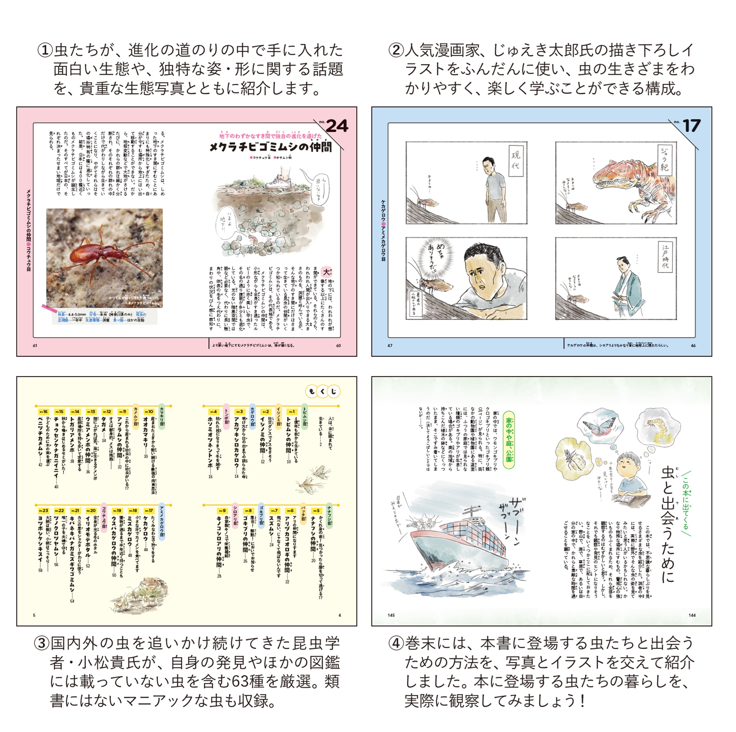 サムネイル画像3