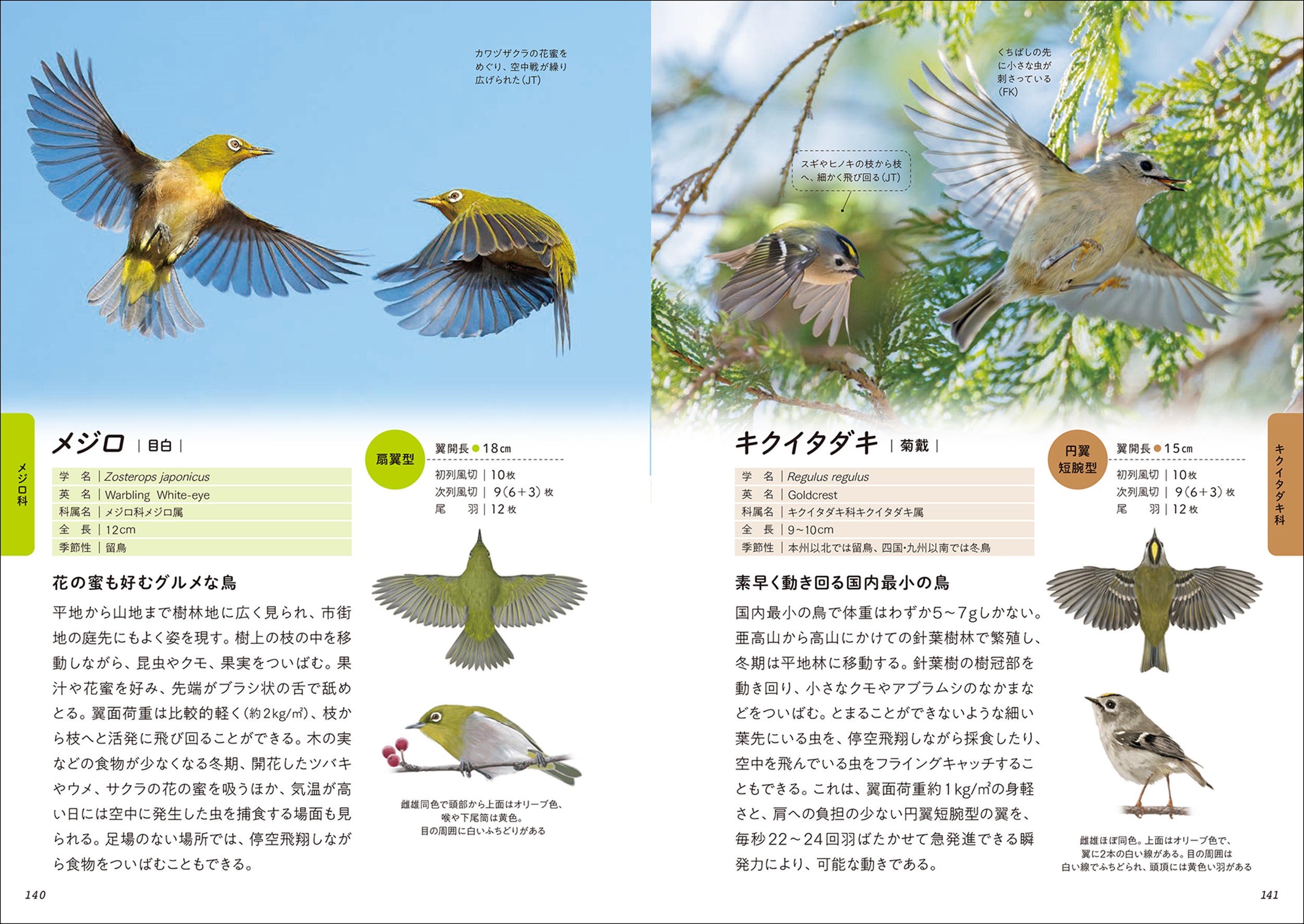 サムネイル画像1