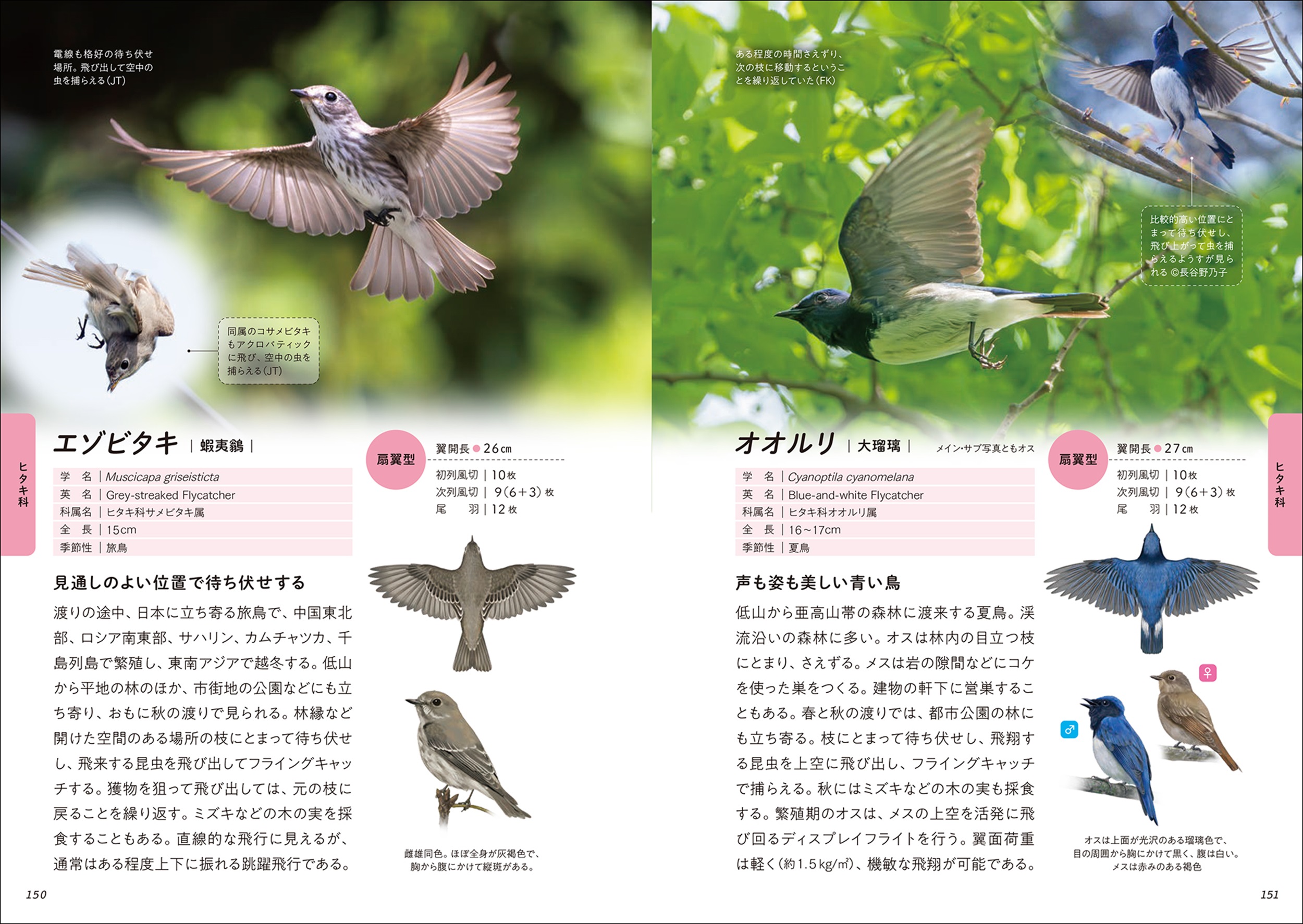 サムネイル画像2