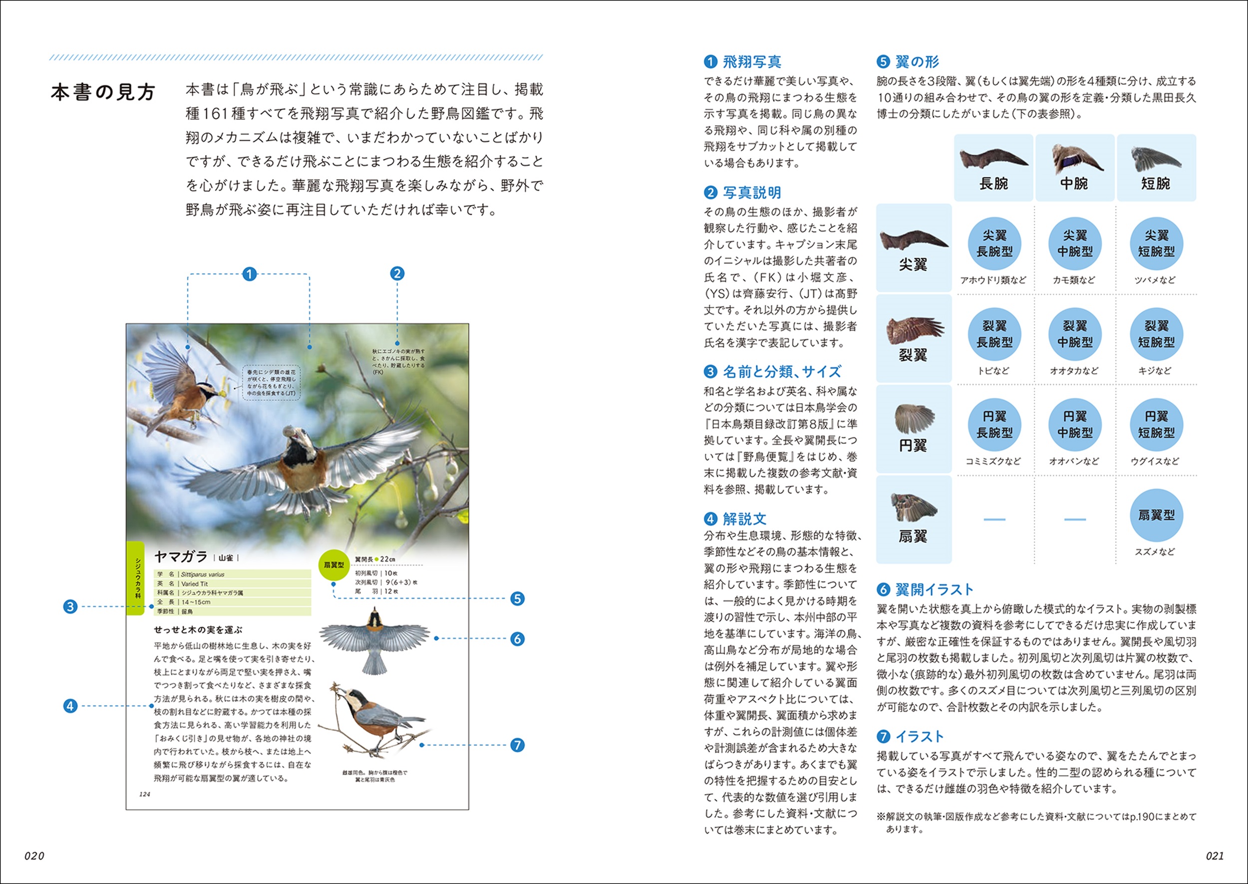 サムネイル画像4