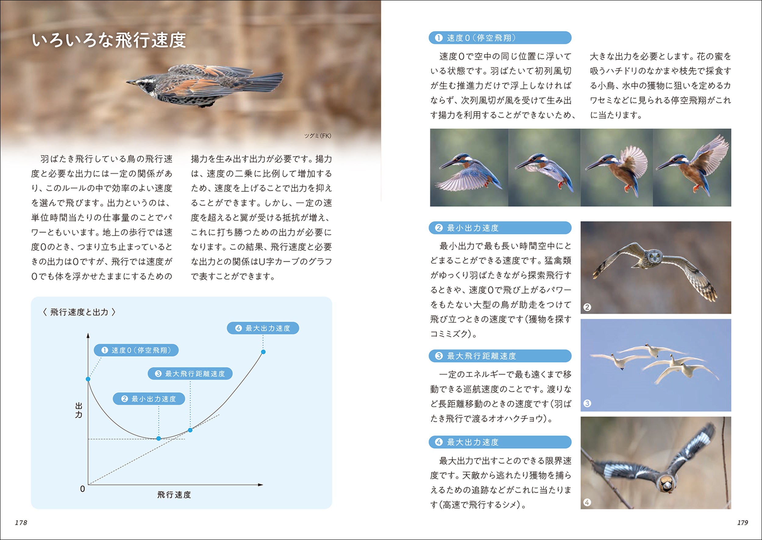 サムネイル画像5