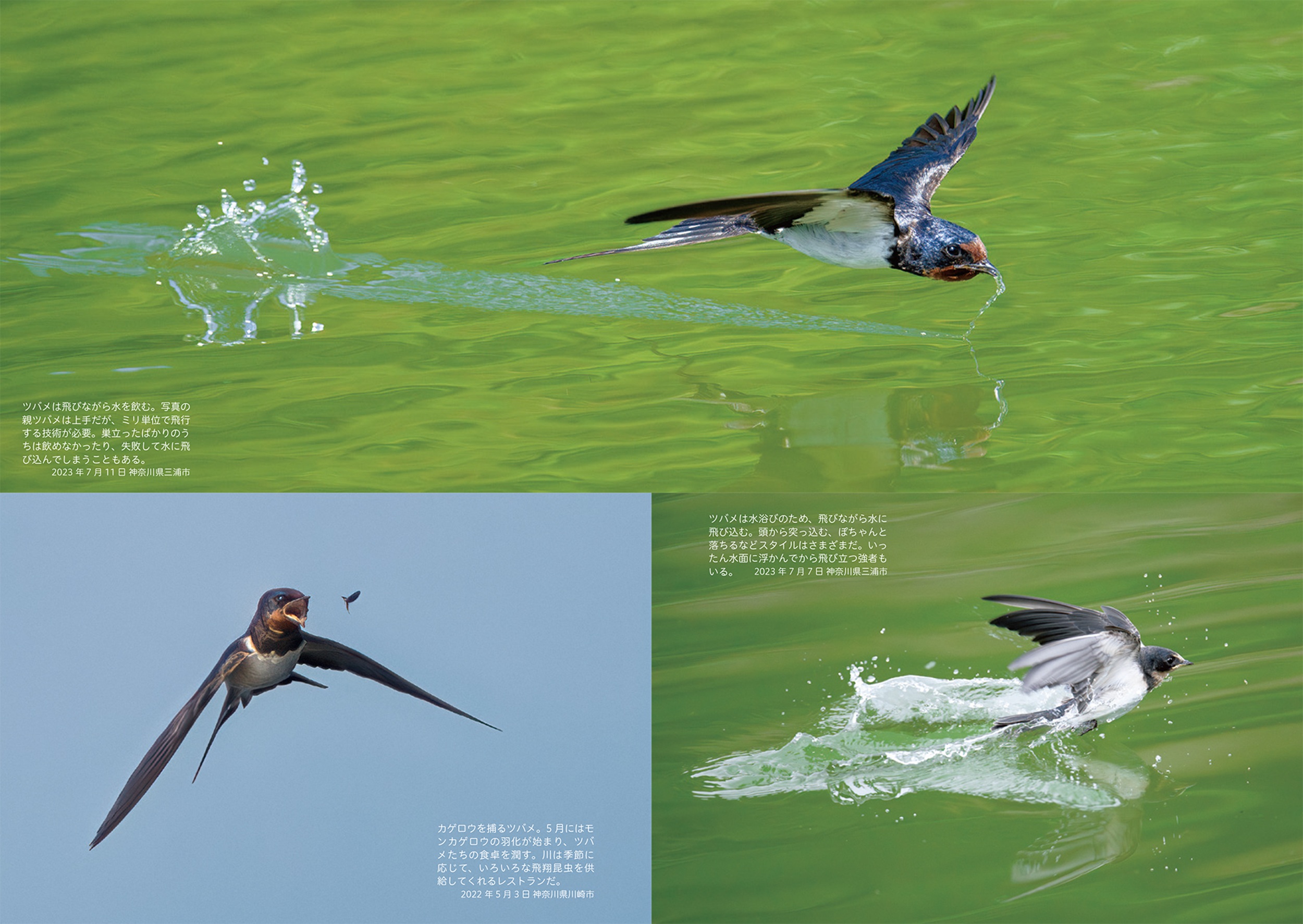 サムネイル画像2