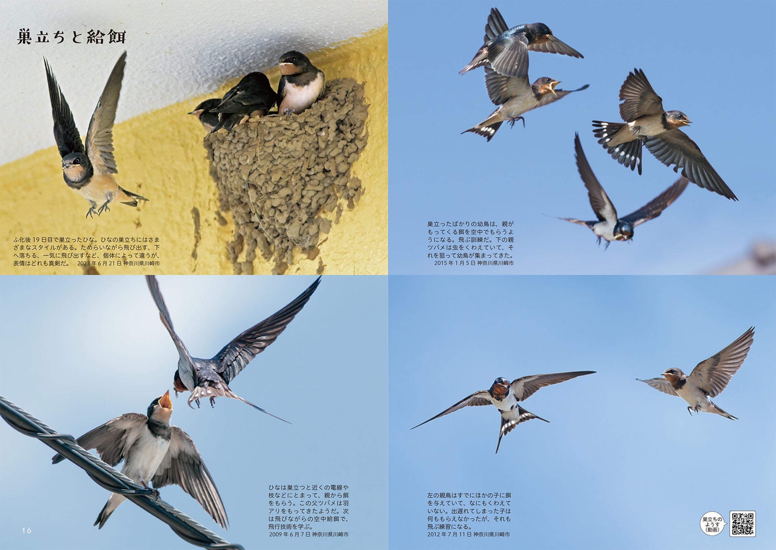 サムネイル画像3