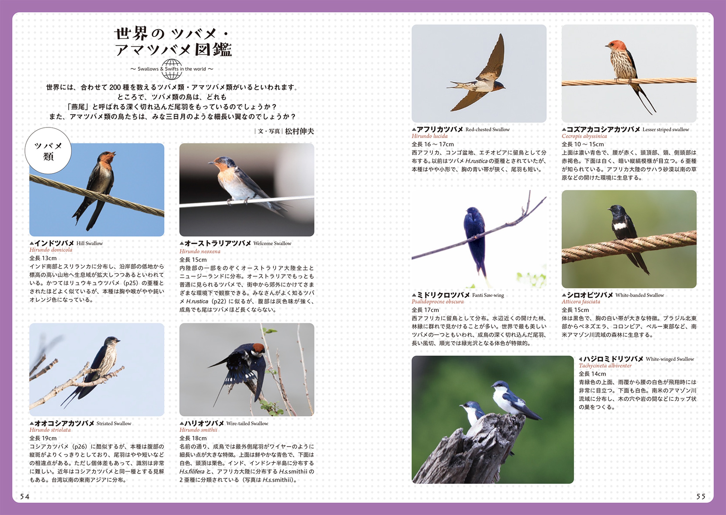 サムネイル画像5